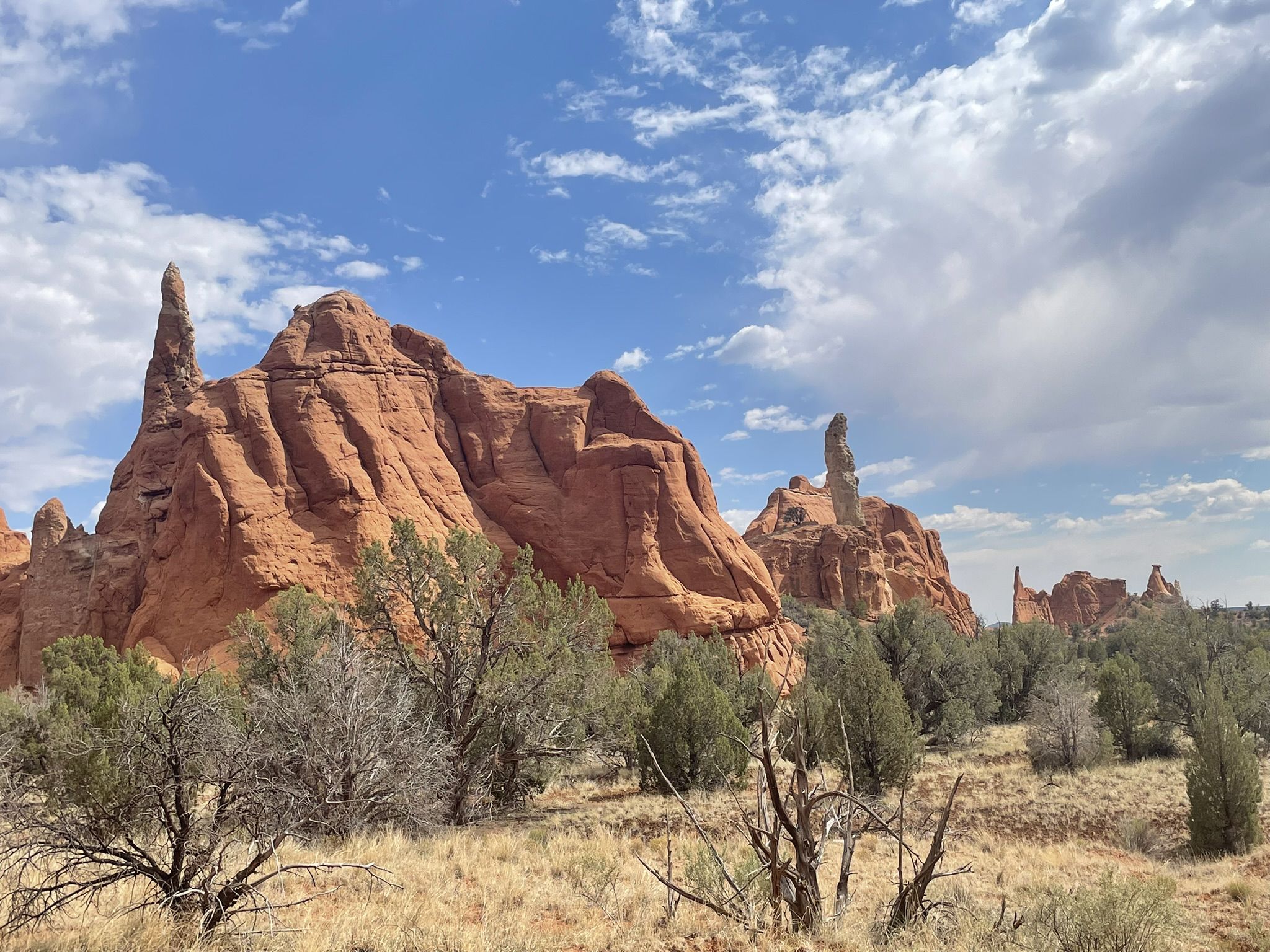Red rock spires and formations with green trees under a cloudy sky. - Grand Parade Trail
