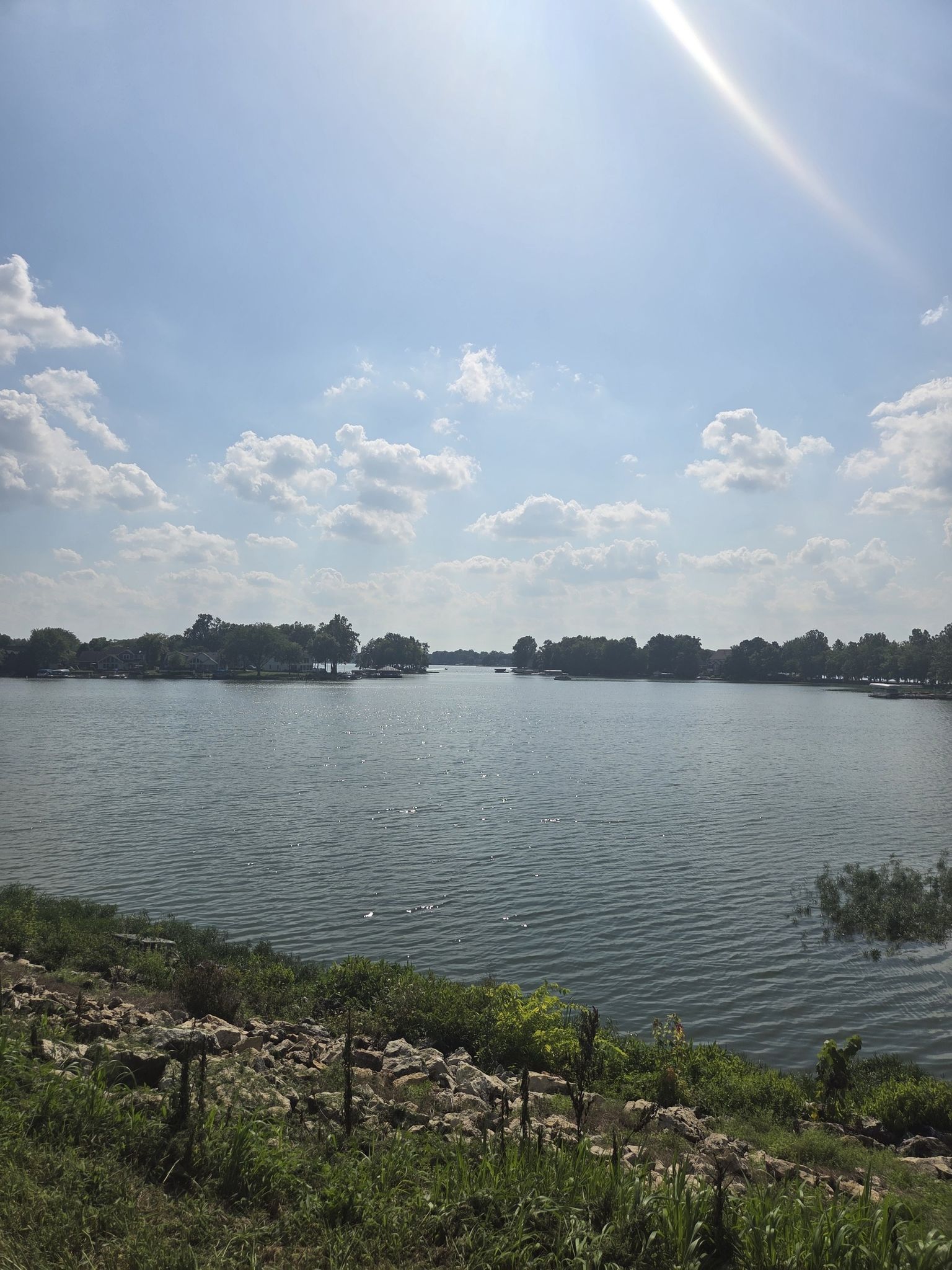 Sunny lake view with rippling water and distant treeline. - Morse Park loop