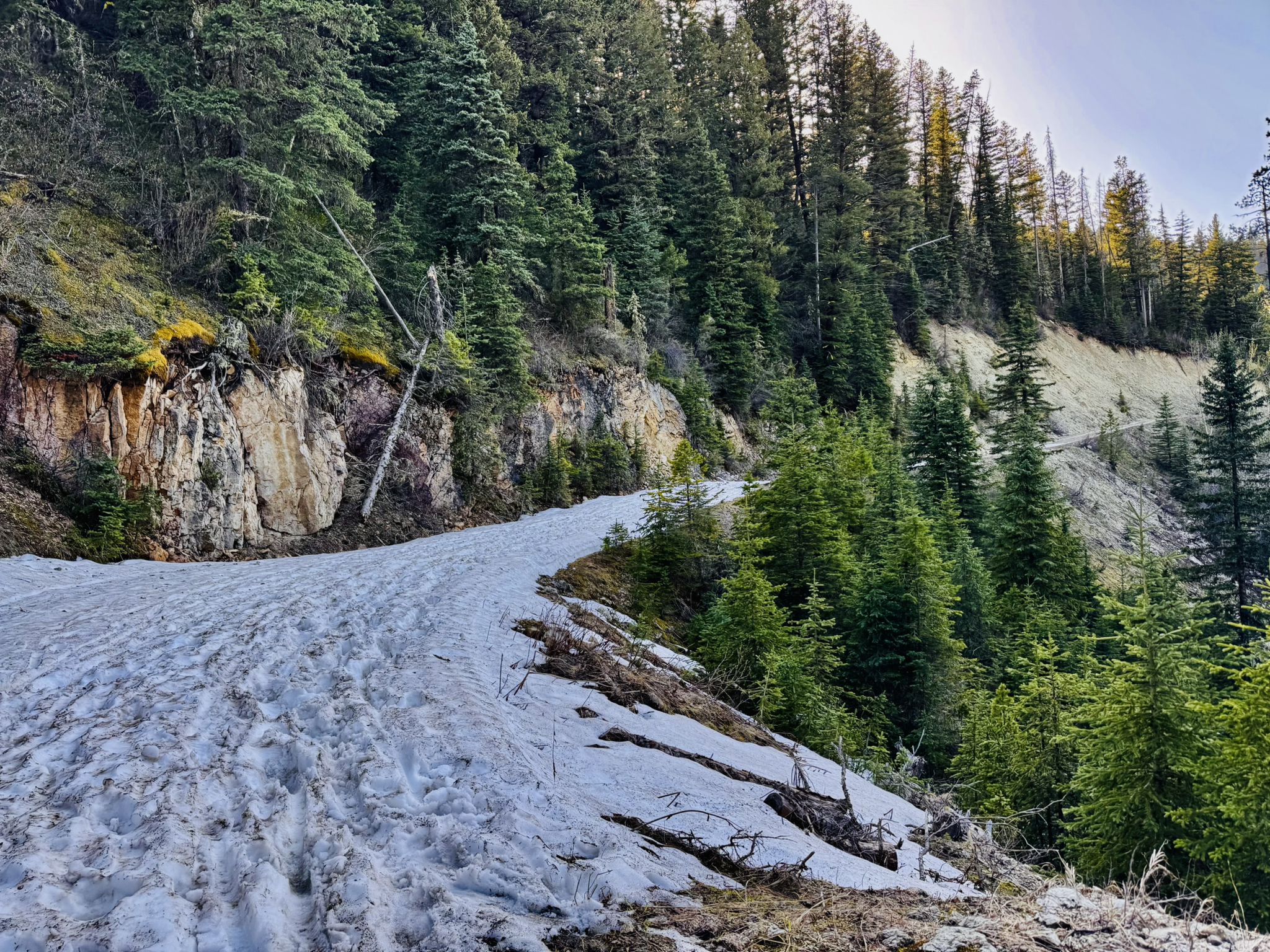 Snowy dirt road winding through a dense sunlit forest and rocky bank. - Mystic Lake Cabin – Highland Glen Nature Preserve loop from Highland Glen Trailhead