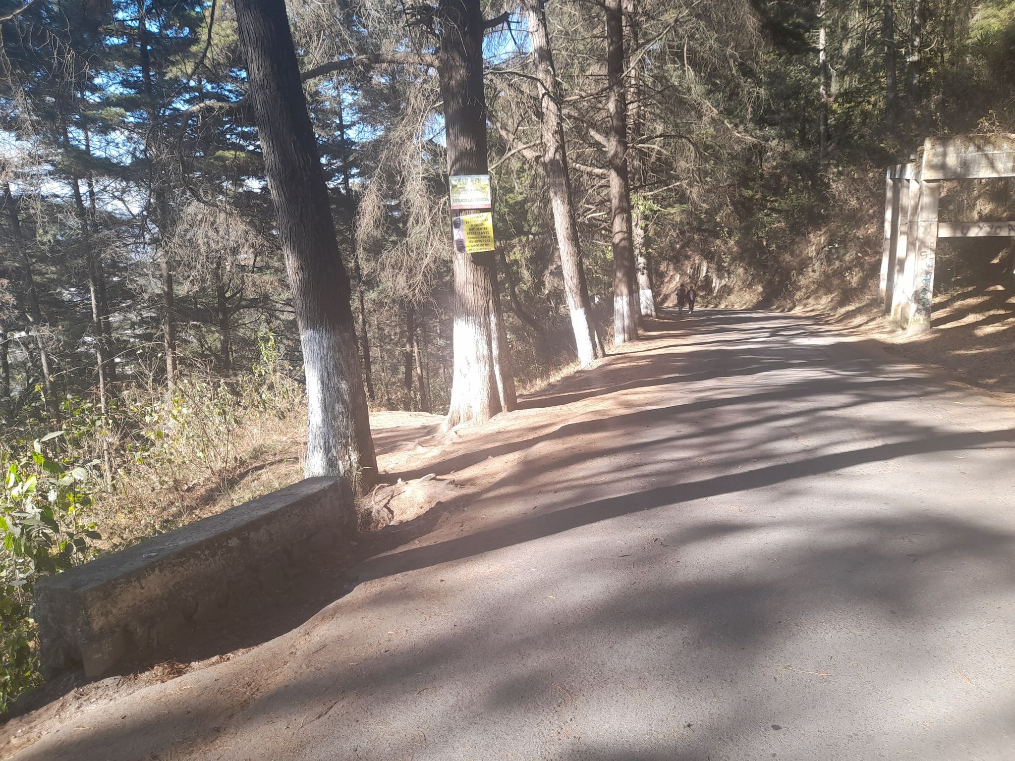 la mi ruta está en la naturaleza en la izquierda