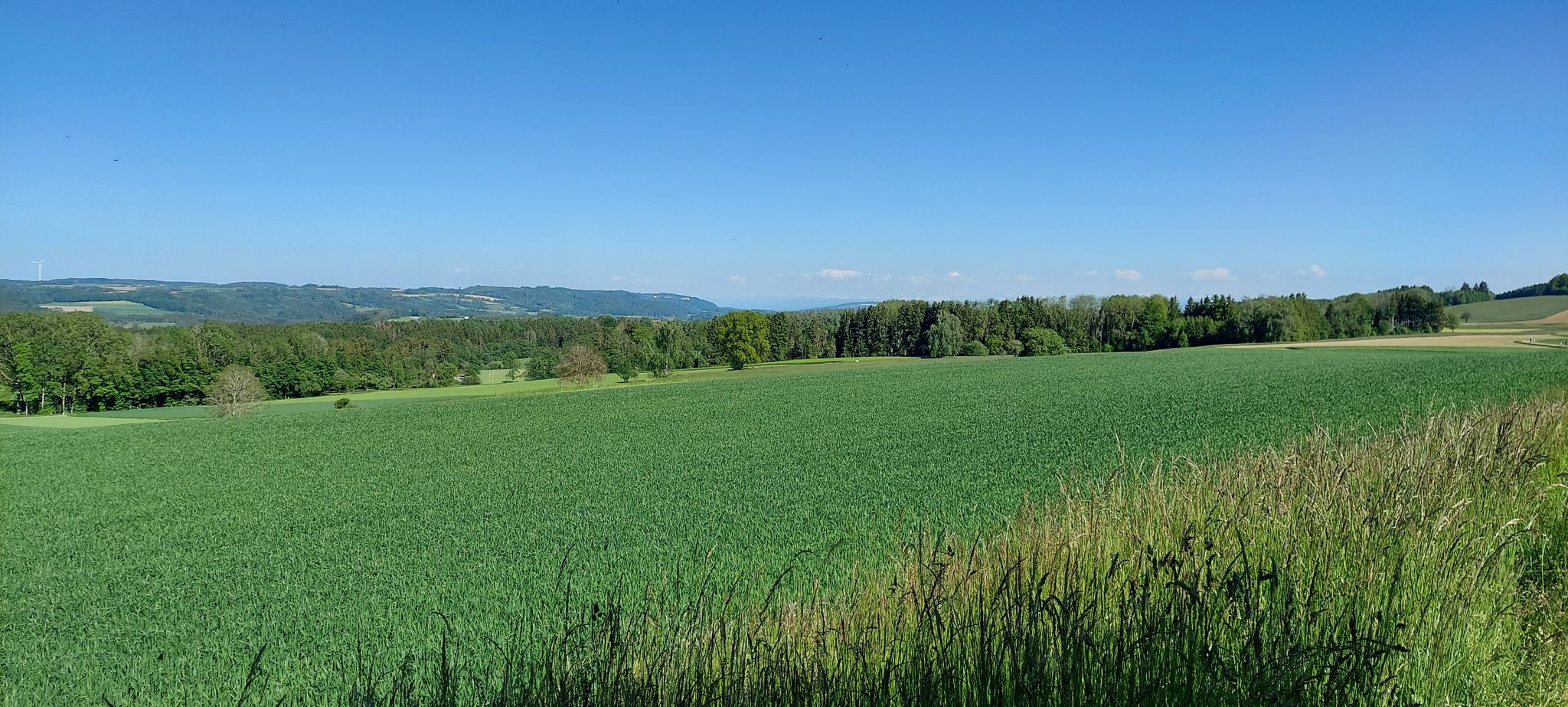 Ausblick auf Heiligenberg 