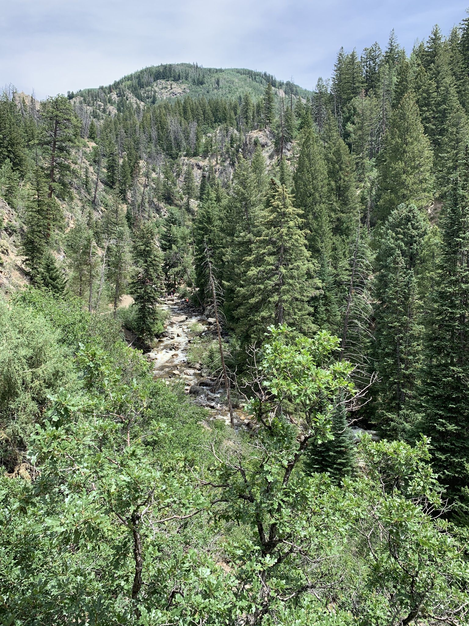 Lush green forest valley with a stream flowing through it. - Sanctuary and Skyline Loop Trail