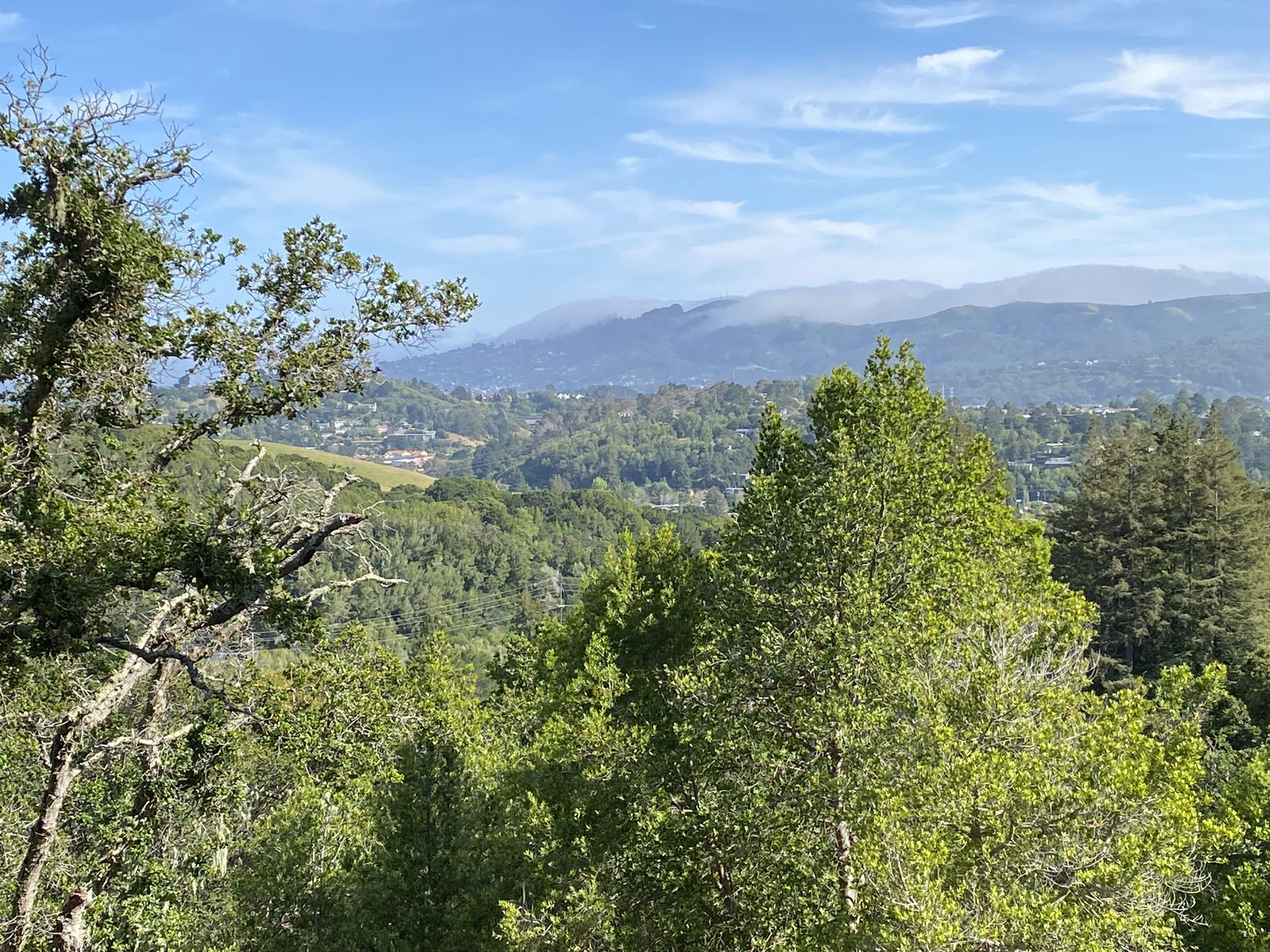 Lush green valley with scattered buildings and hazy distant mountains under a cloudy sky. - Mountainbike loop from Corte Madera