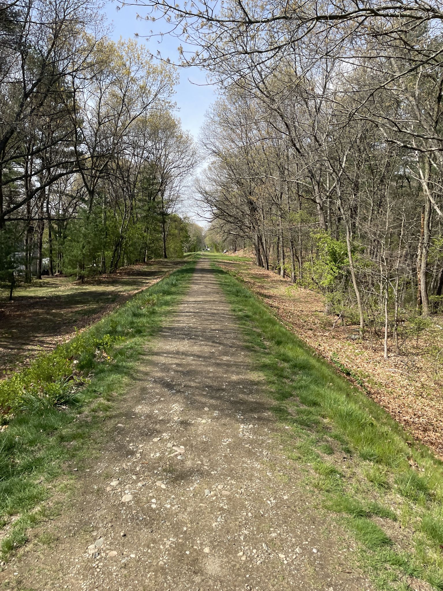 A long, straight dirt path through a forest with sparse spring foliage. - Sudbury Path