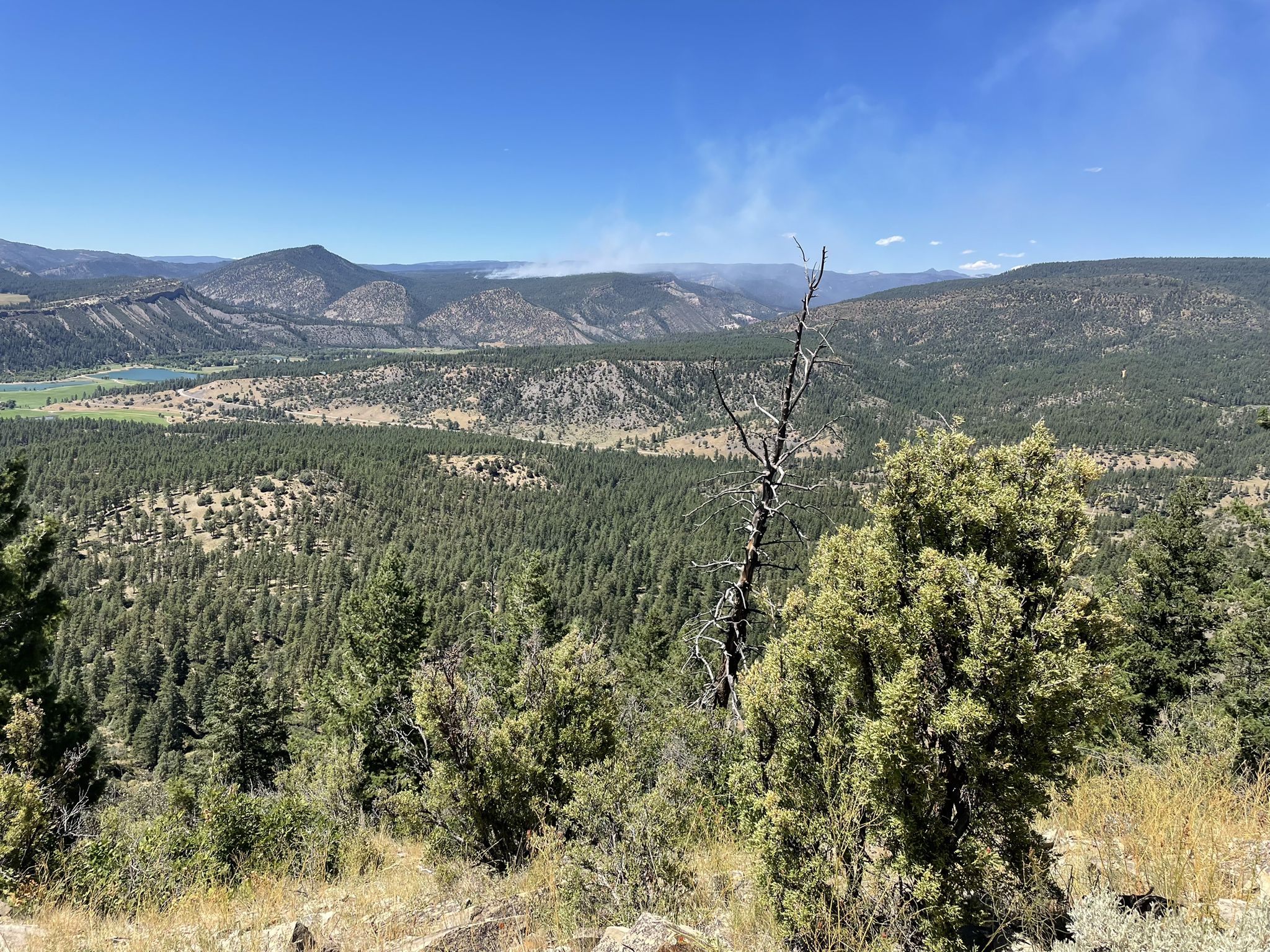 Vast forested valley with distant mountains under a clear blue sky. - Great House Pueblo Trail