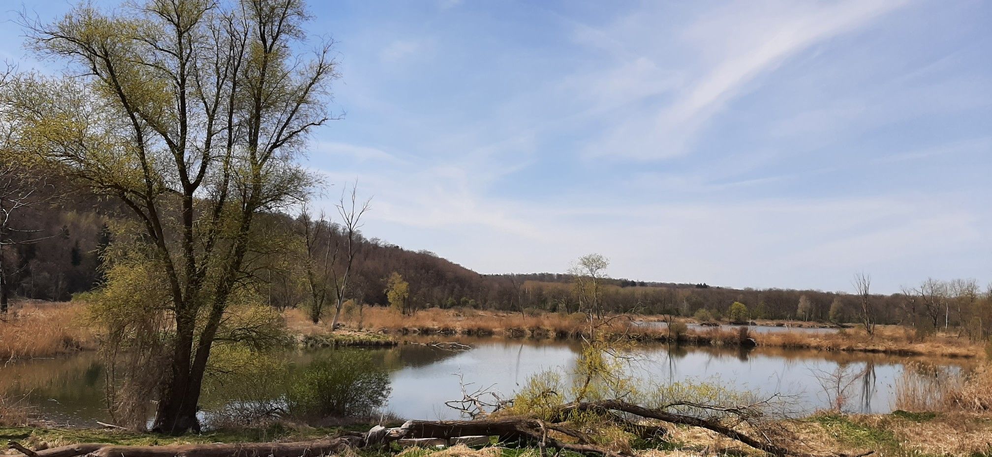 Donau-Nebengewässer