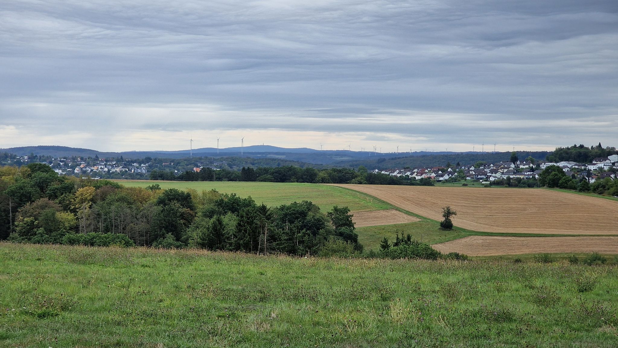 Feldbergblick 