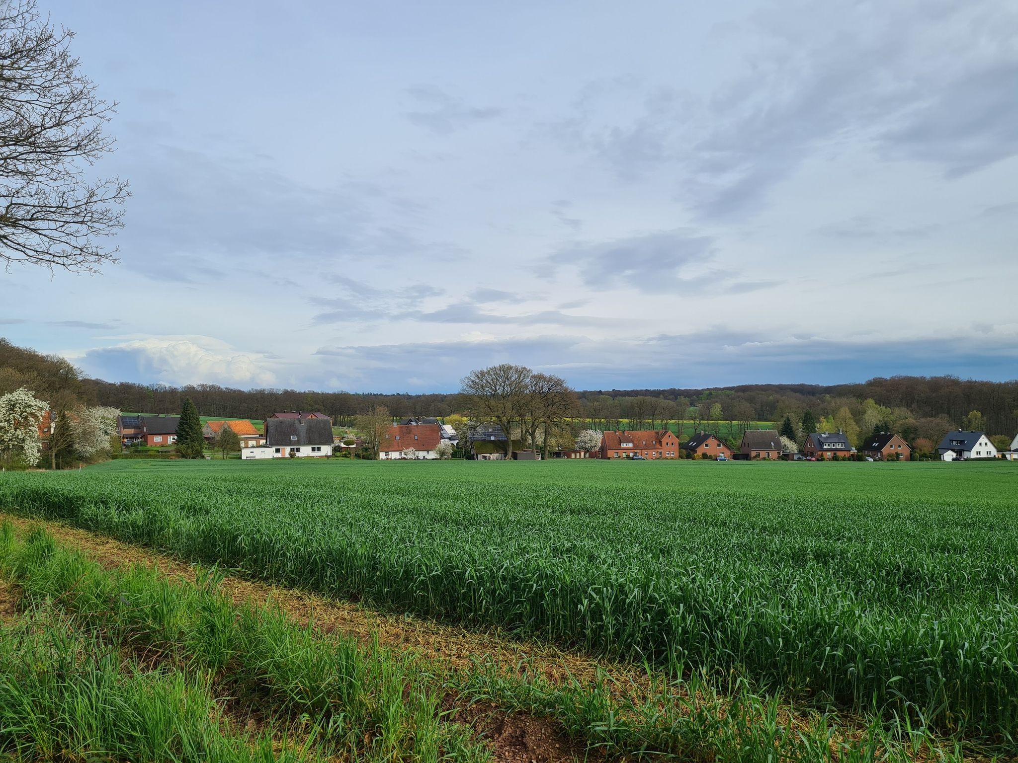 Hinter dem Felde