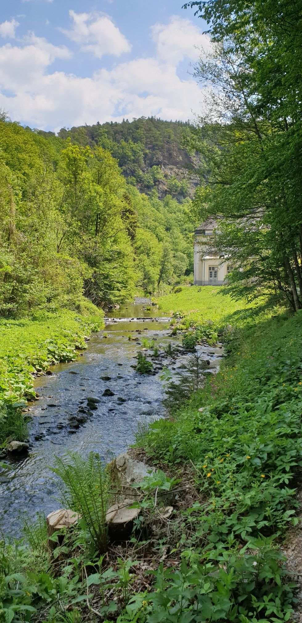 Kraftwerk Hohenstein