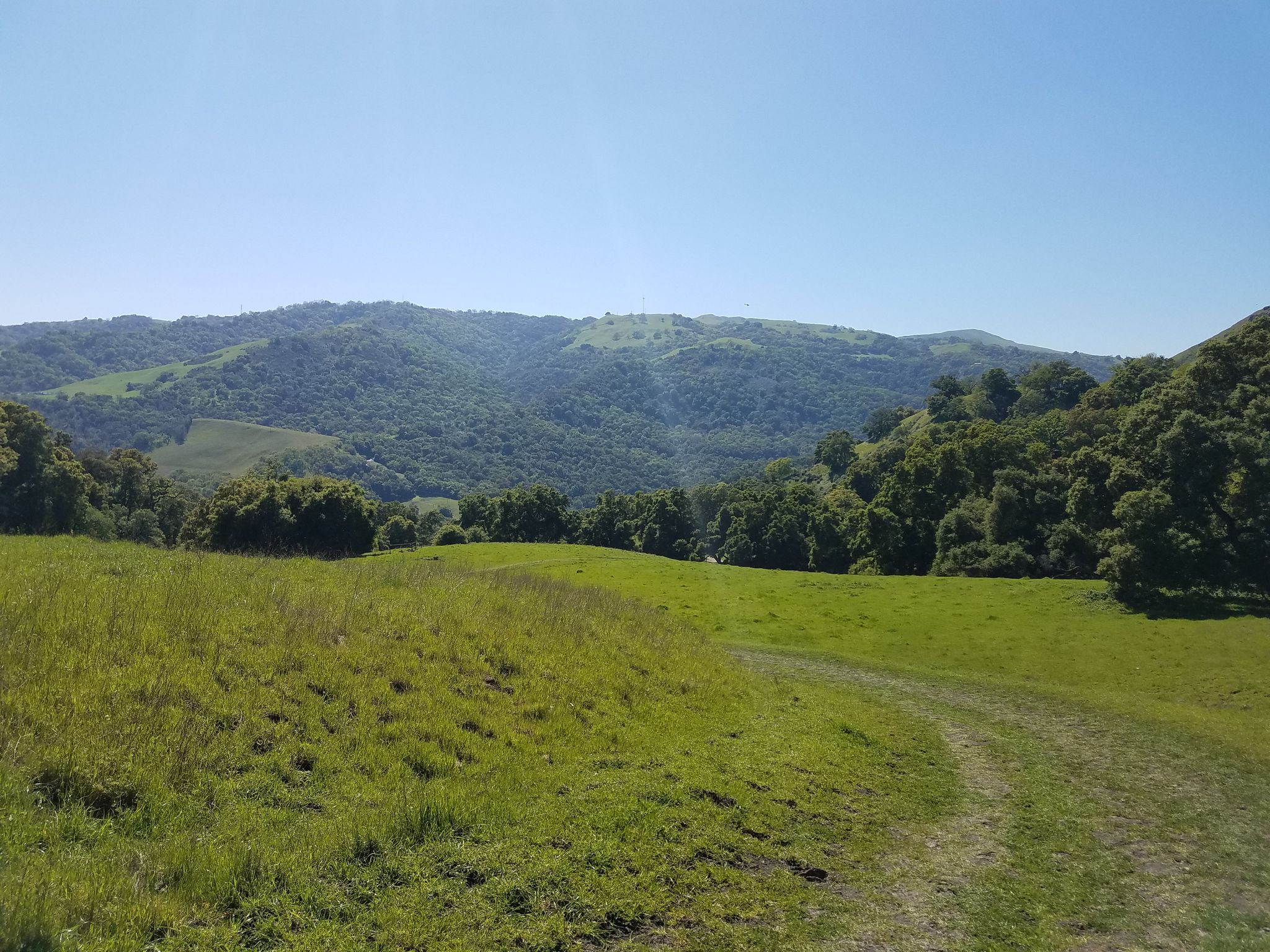 Bright green grassy hills with a dirt path leading to forested mountains. - Indian Joe Creek Trail, High Valley Road, and Hayfield Road Loop