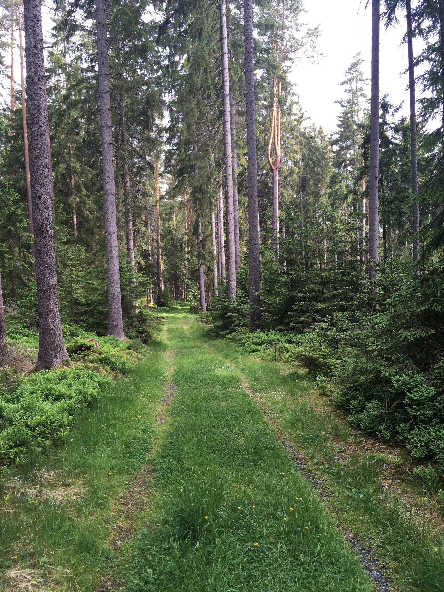 Fränkischer Gebirgsweg