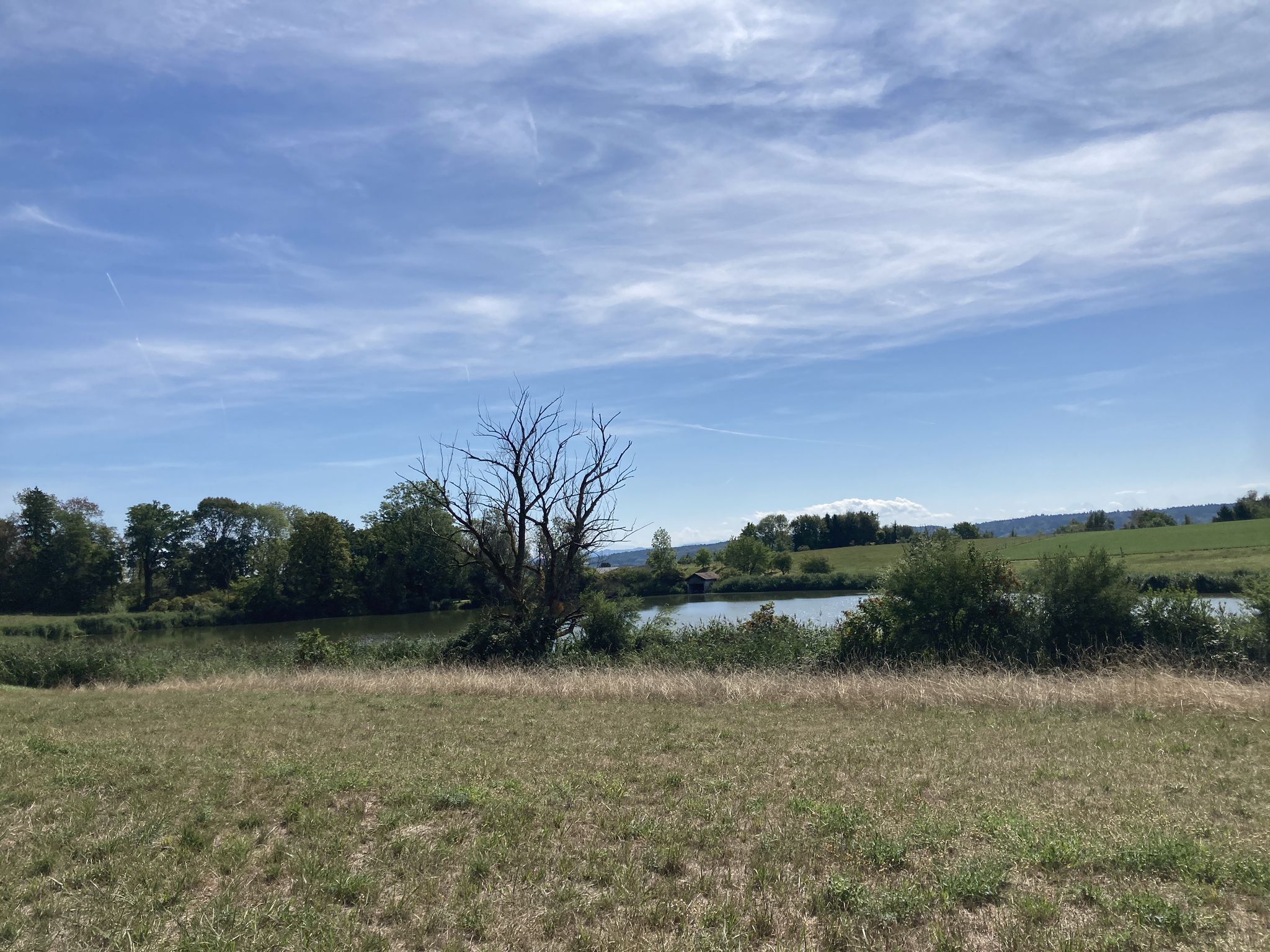 Der Bellacher Weiher ist immer wieder hübsch...