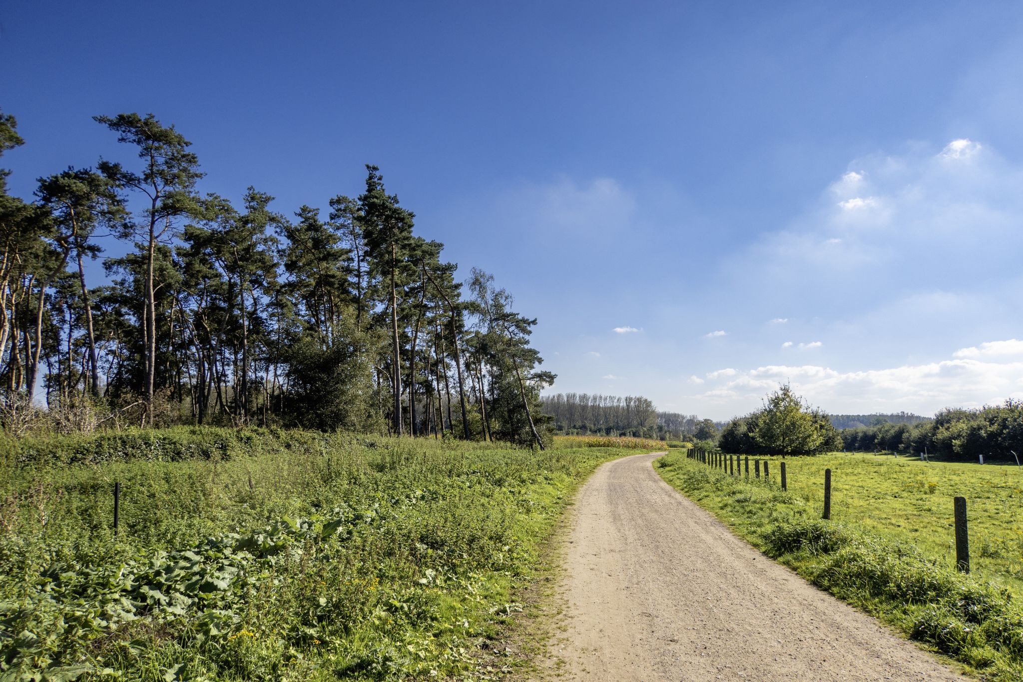 Over het gravel van de Berlarebroek