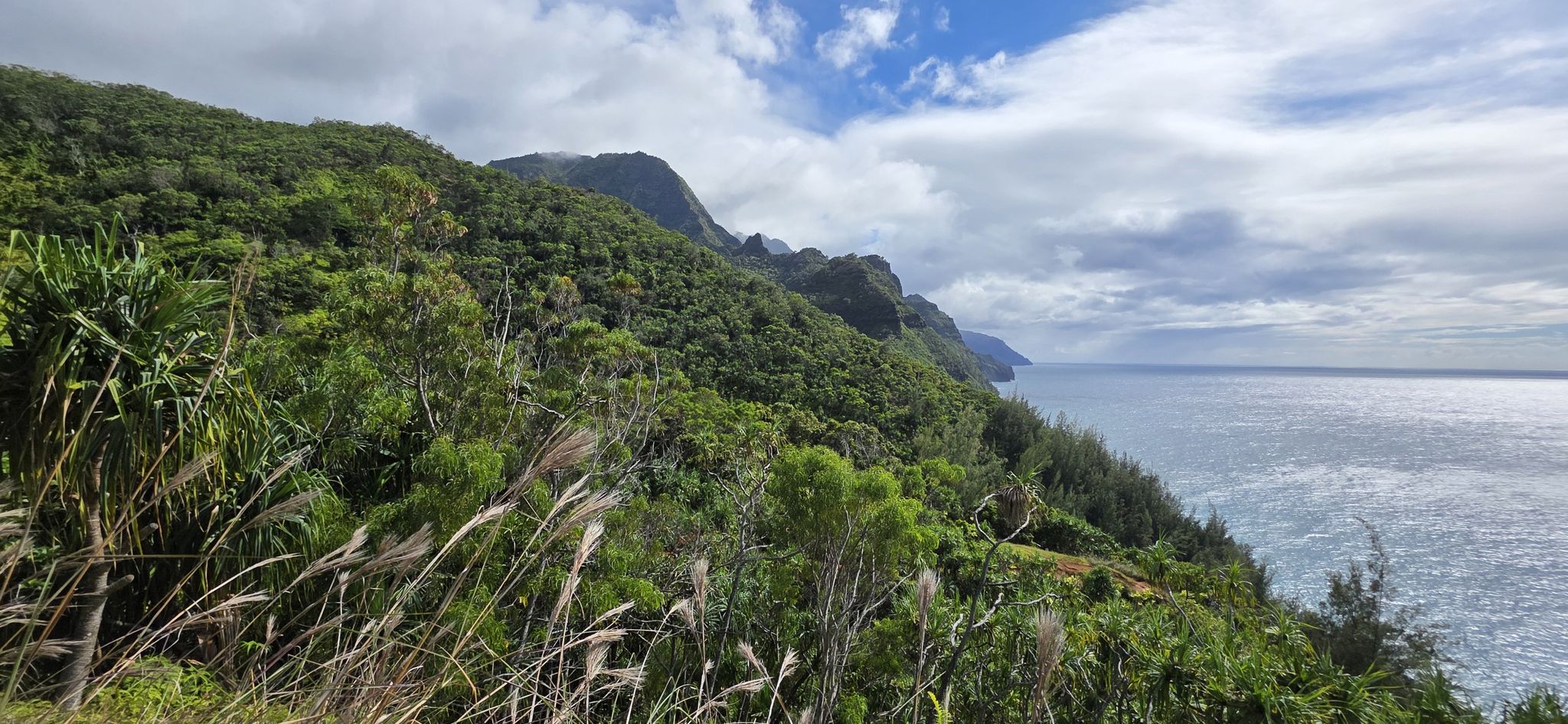 Grassy foreground, green mountains, and a vast blue ocean under a cloudy sky. - Hanakapiʻai Stream – Kalalau Trail loop from Haena State Park