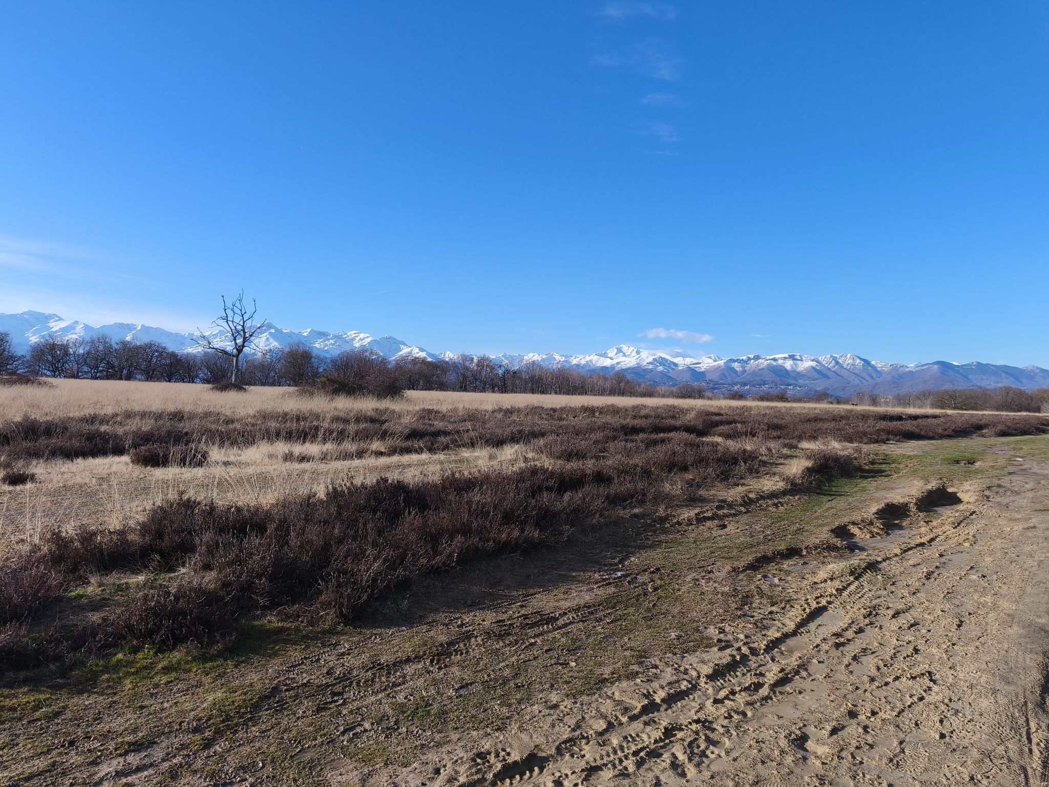 Panoramica 