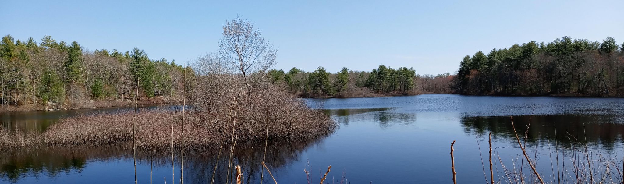Panoramic view of a wide lake with forested shores, bright blue sky. - Triphammer Pond Loop – Wompatuck State Park