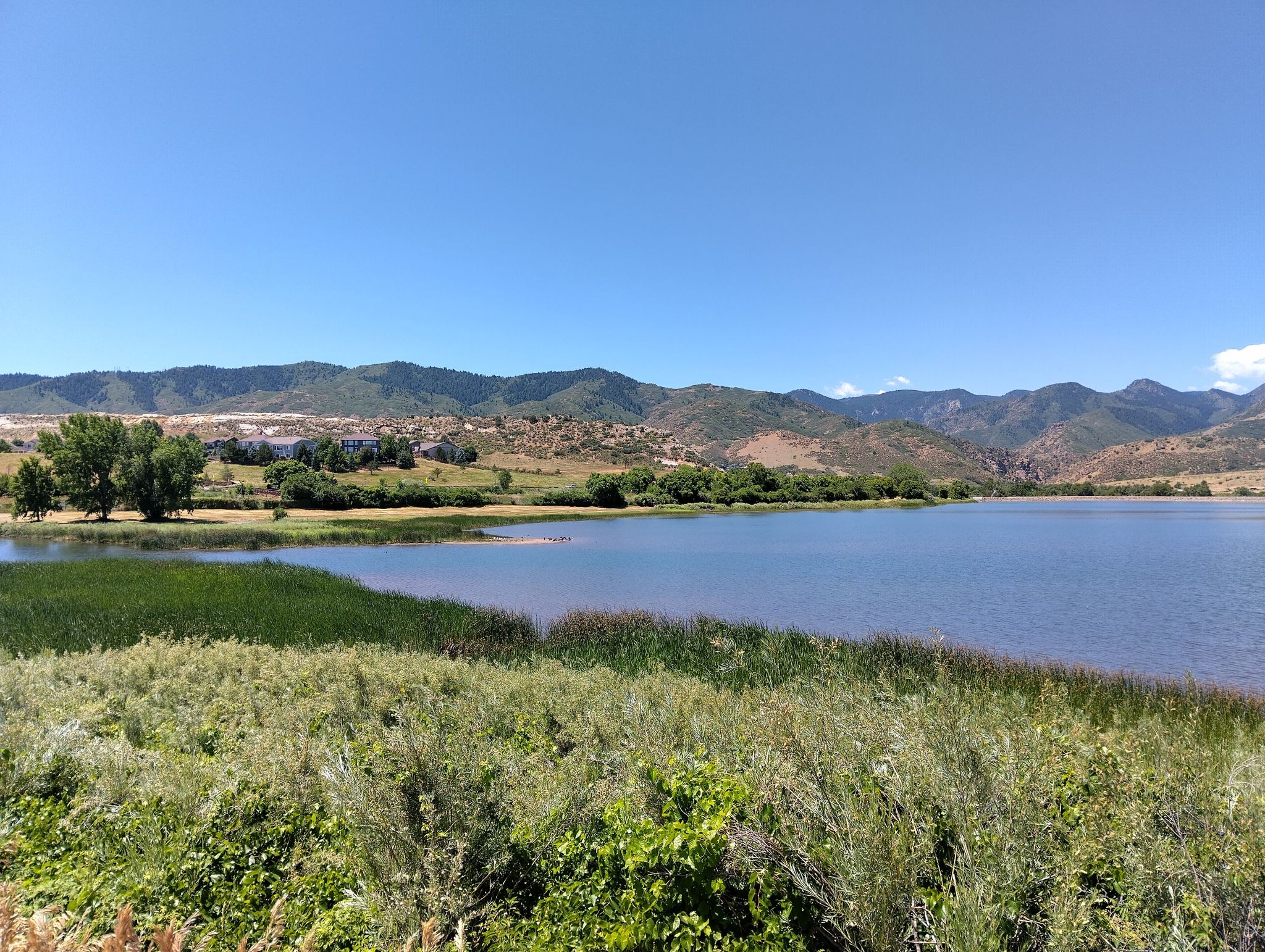 A wide blue lake with green reeds and distant mountains under a clear sky. - Colorado Front Range Trail: Chatfield State Park Loop