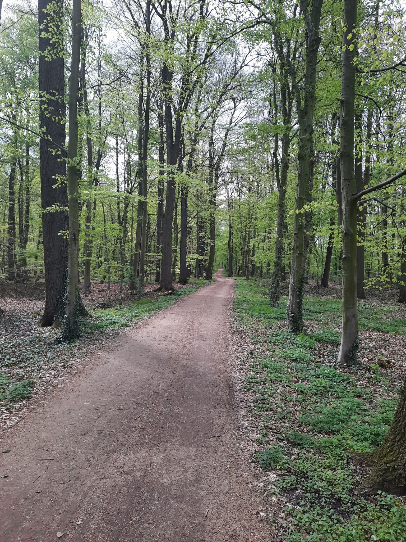 Bagno Park Burgsteinfurt