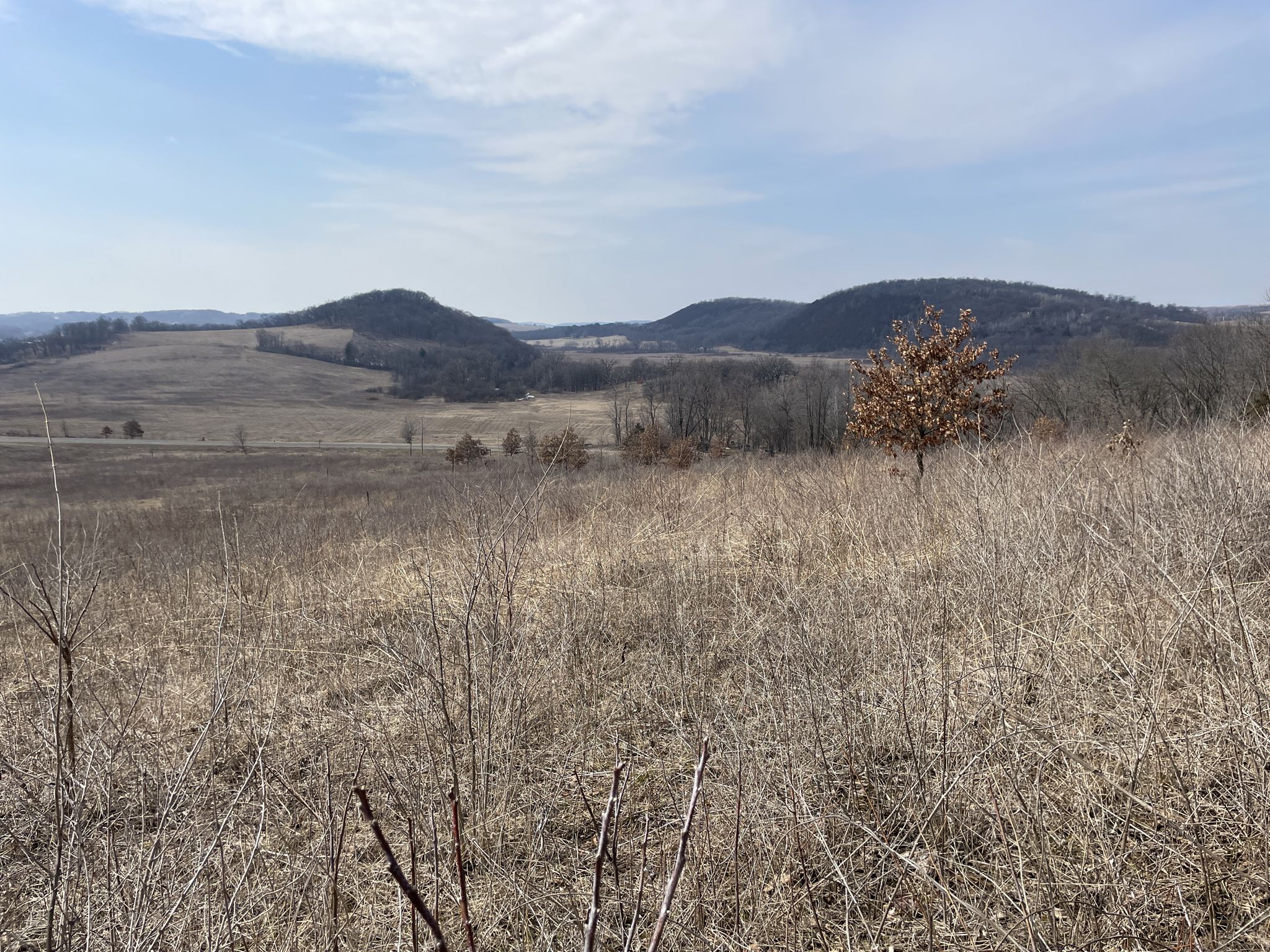 Vast dry grassy field with rolling hills under a bright sky. - Ice Age Trail: Lodi Marsh Segment