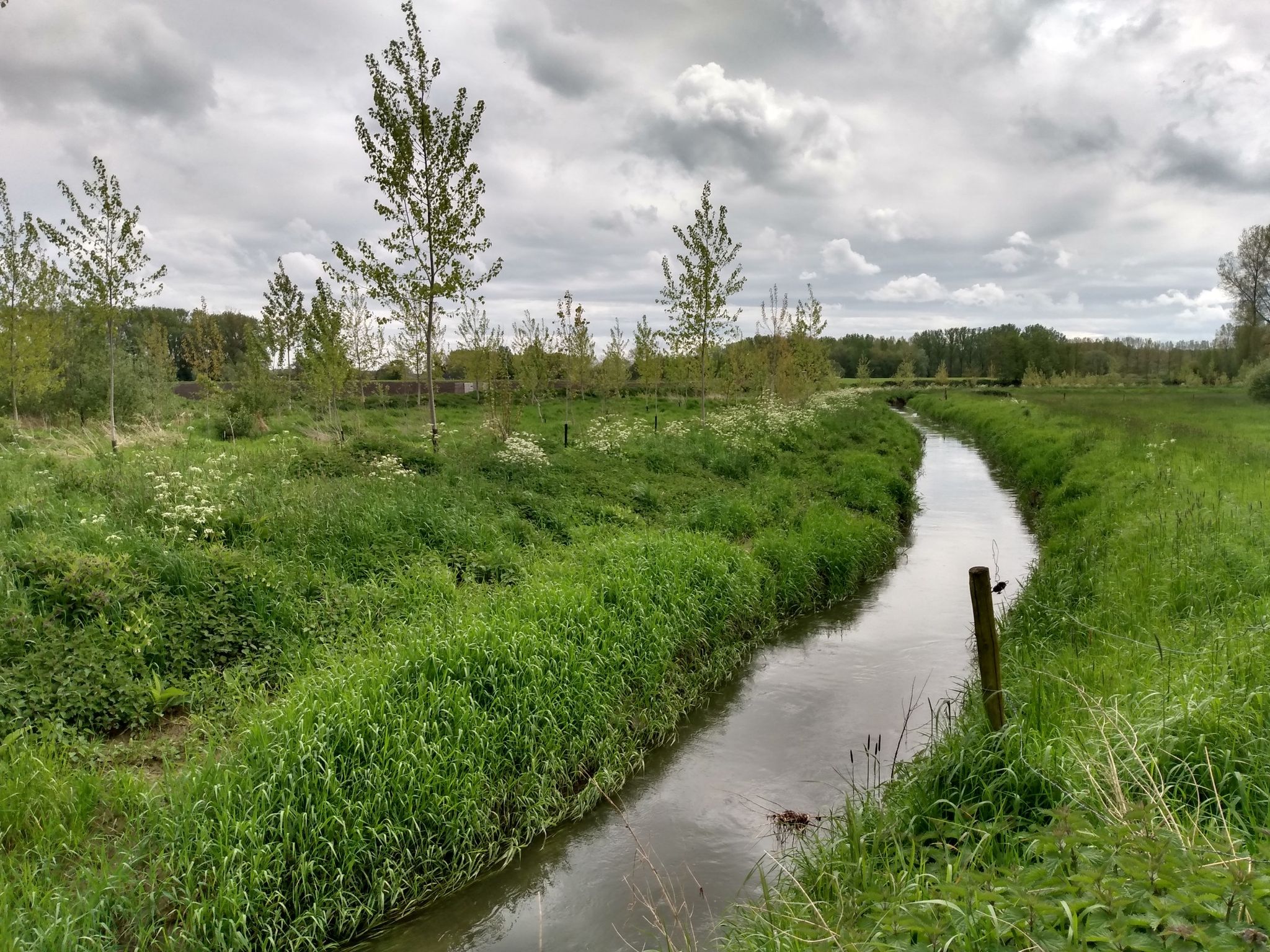 de Vliet