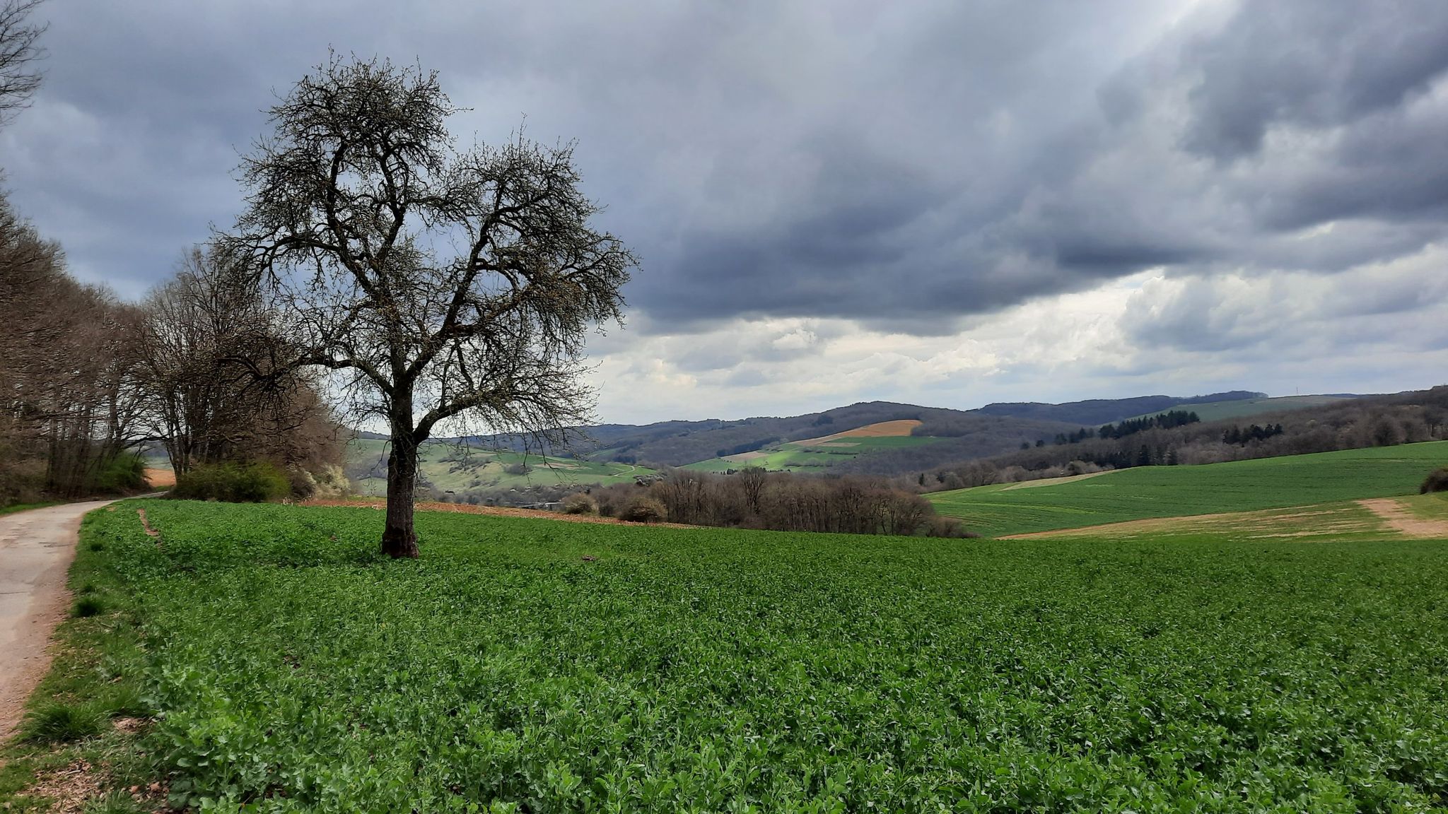 Ausblick vom Birkelchen