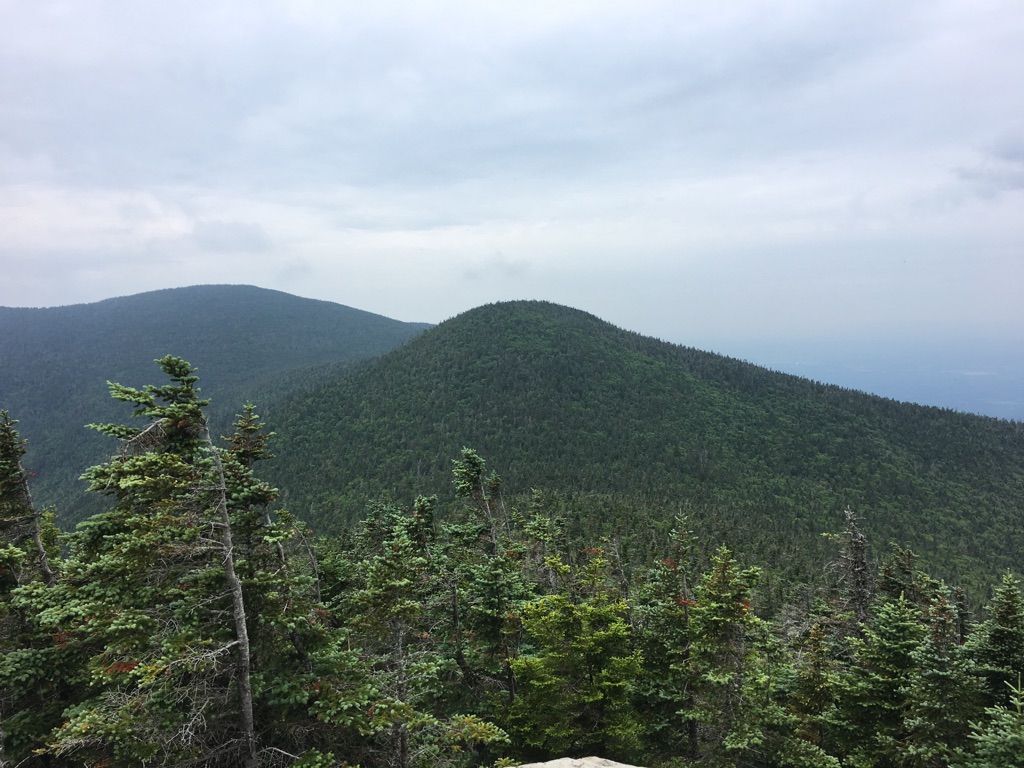View of forested mountain peaks under an overcast sky. - Mount Cabot loop