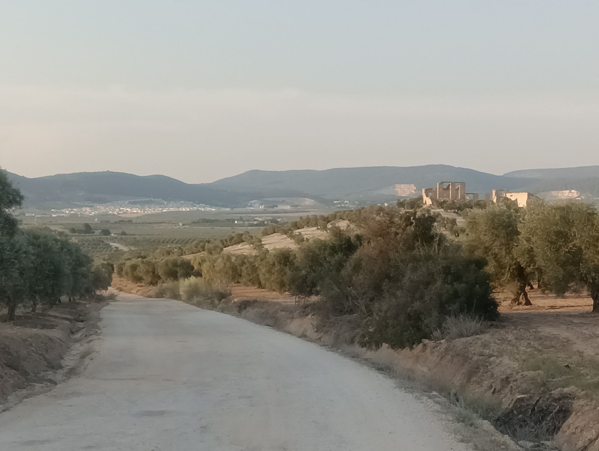vistas sierra de Gilena y Pedrera
