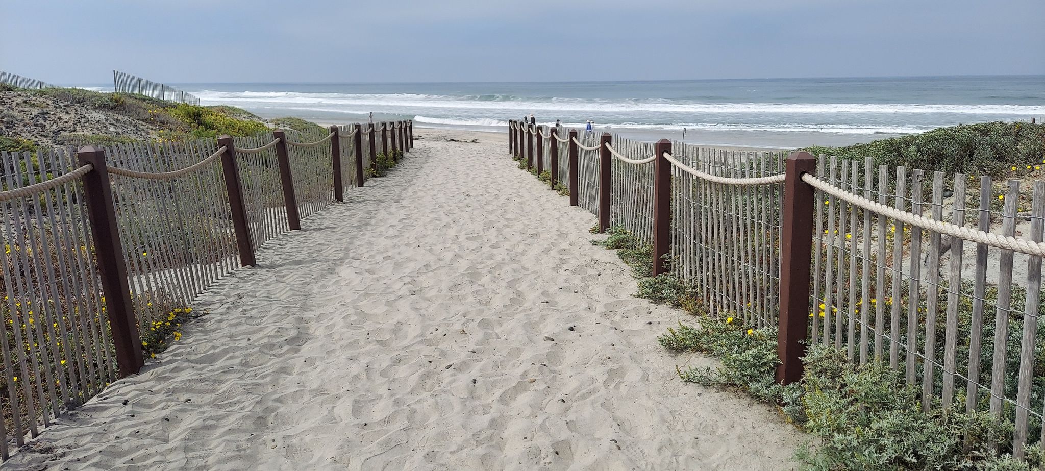 Sandy path with rope fences leading to the ocean under a cloudy sky. - Cardiff by the Sea – San Elijo Lagoon Estuary Canal loop from Solana Beach