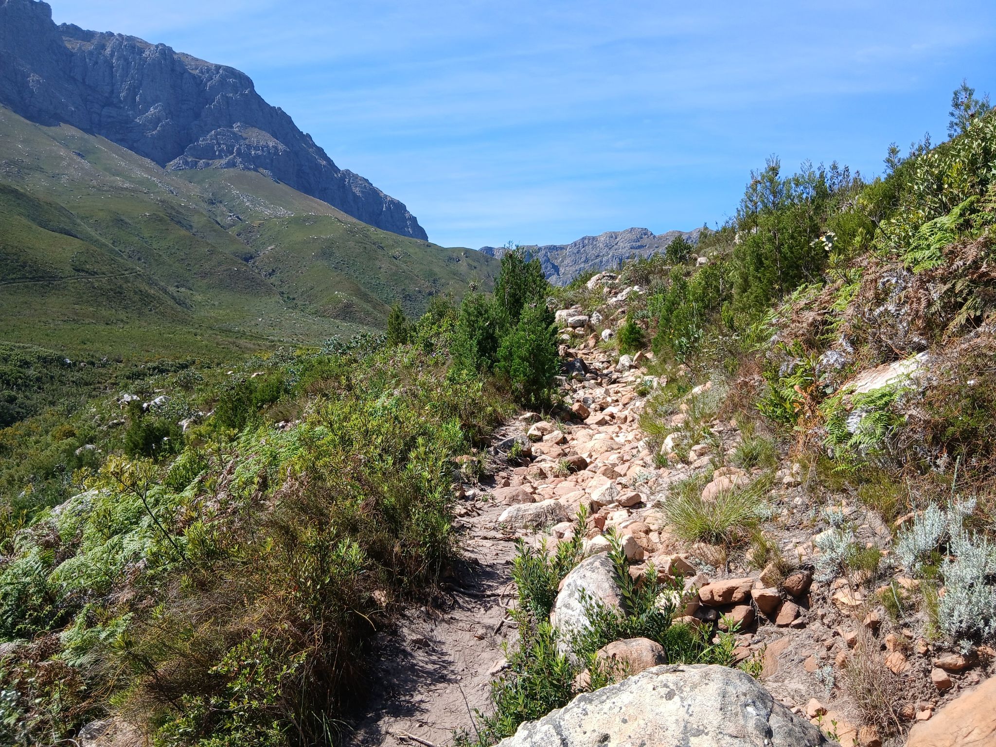 Trail