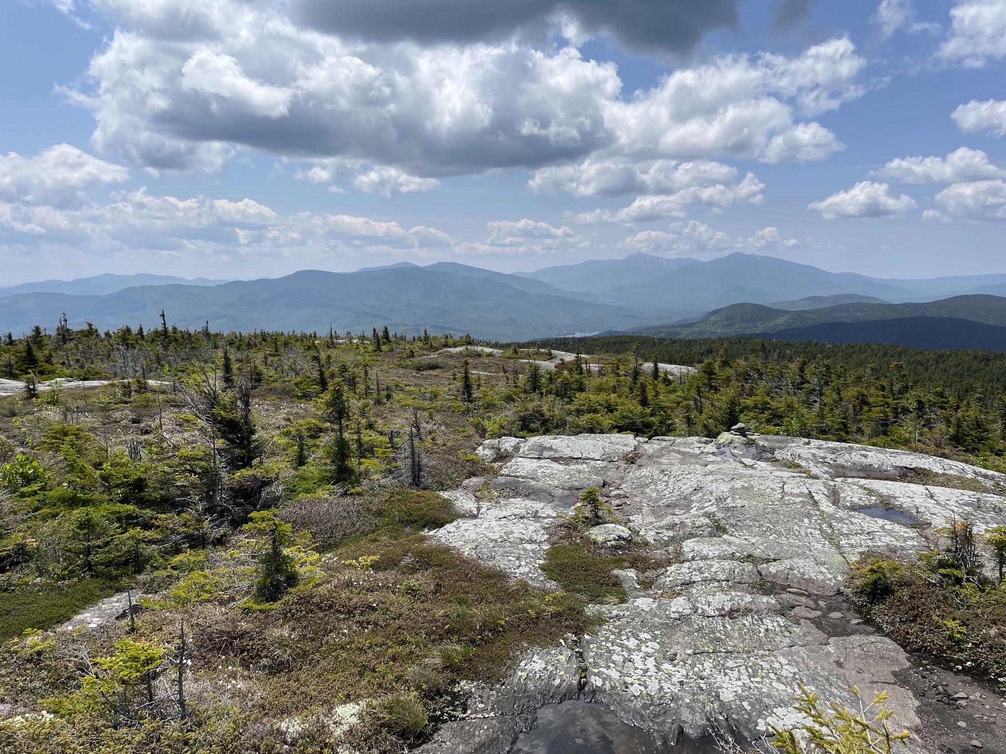 Sunny, rocky mountain summit with low vegetation and distant forested peaks under clouds. - Mount Success via Success Trail
