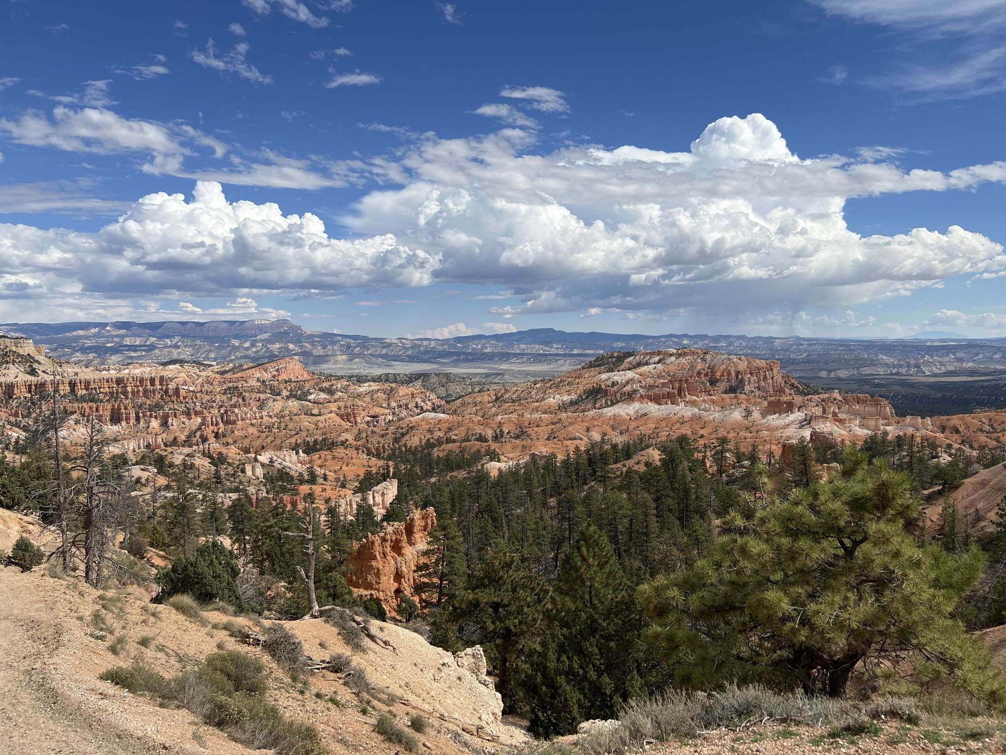 Wide view of red rock landscape with green trees under a cloudy sky. - Sunrise Point loop from Bryce Canyon Lodge