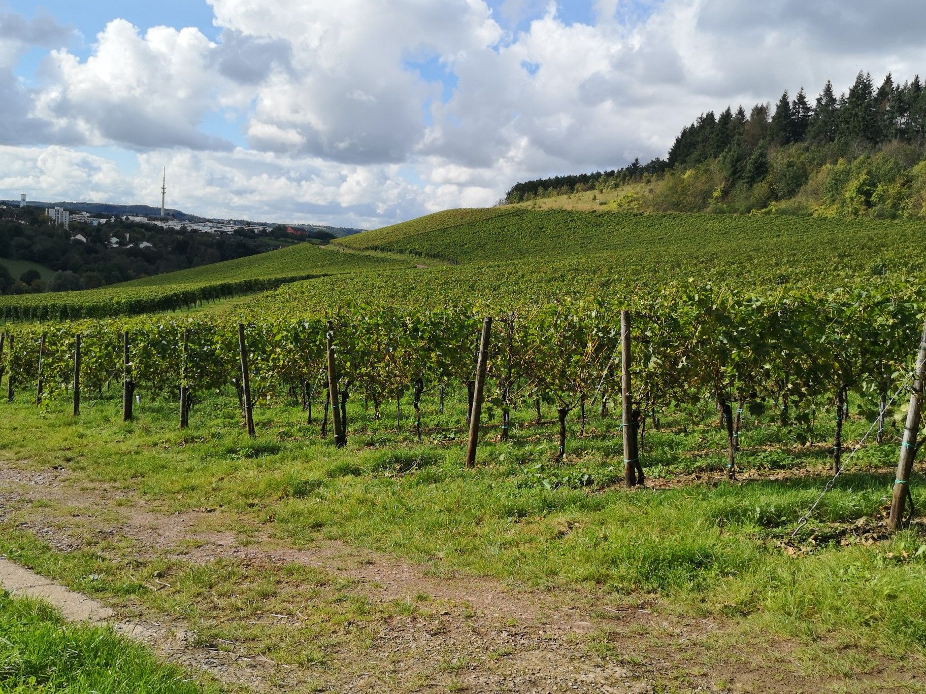 Weinberg