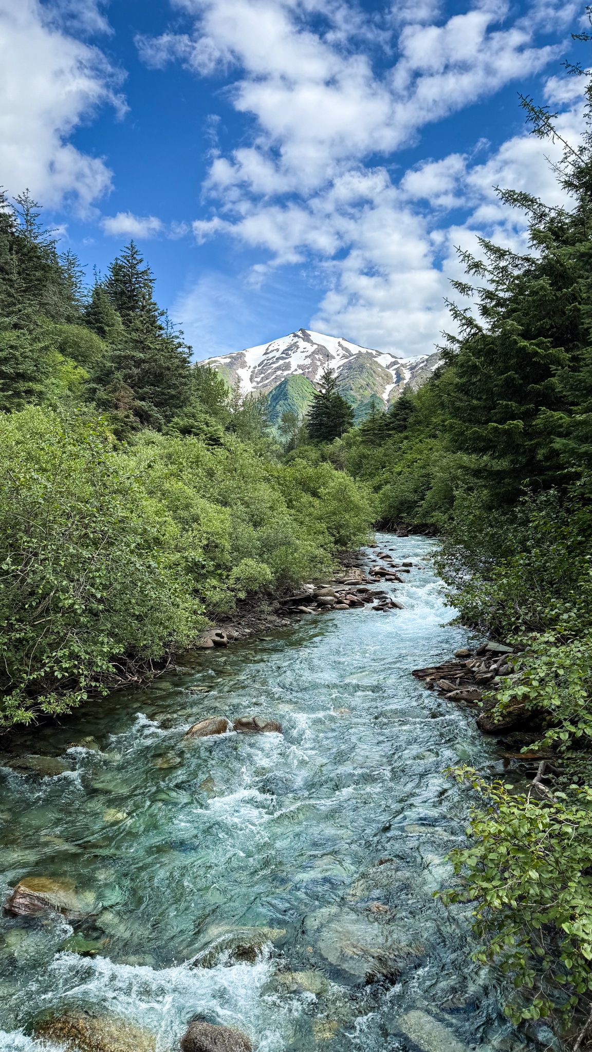 Clear blue river flows through green forests towards a snow-capped mountain under blue sky. - Juneau Ridge Loop