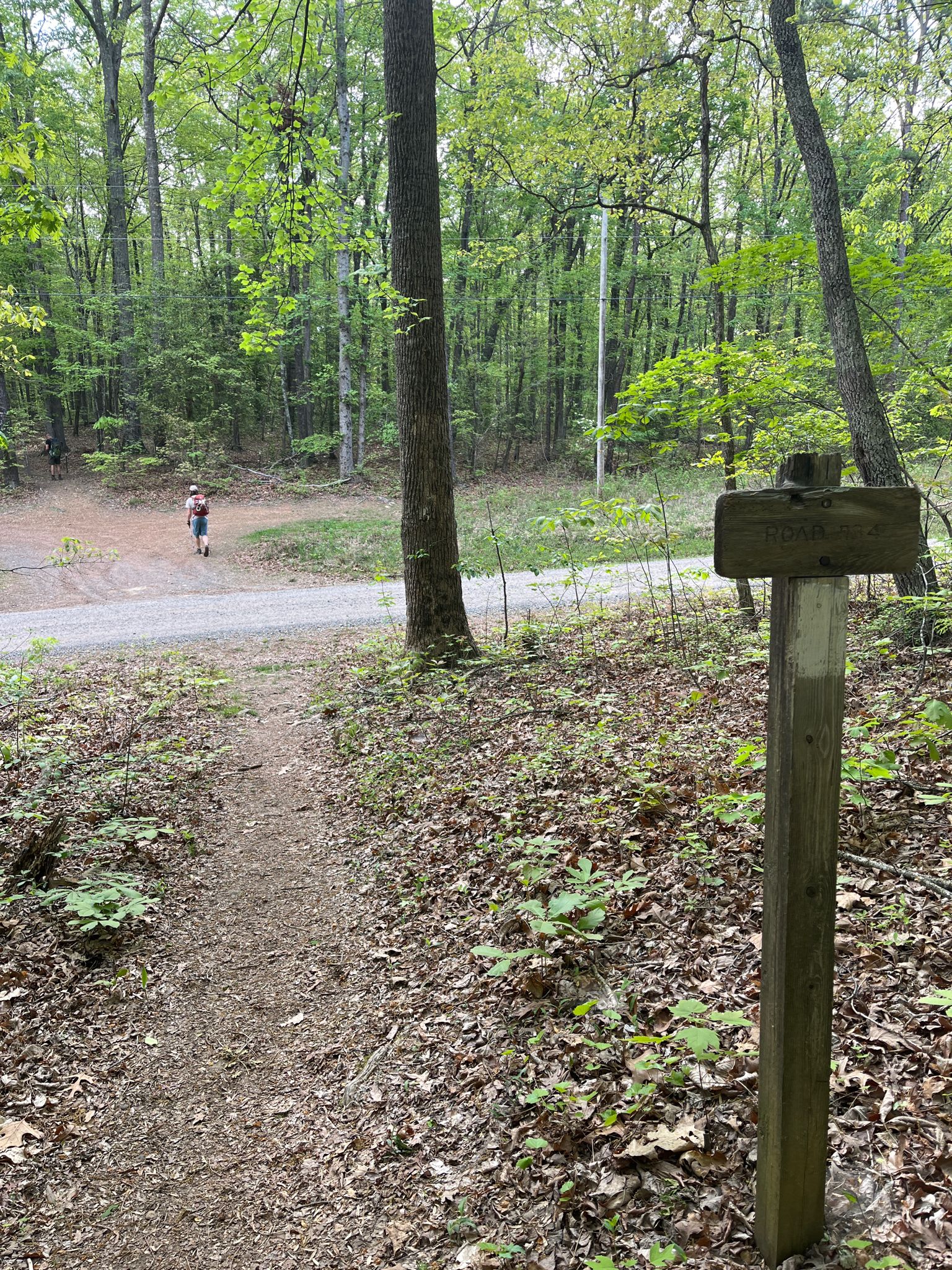 A dirt trail and signpost in a bright forest with a distant runner. - Uwharrie Trail: Horse Mtn Trailhead to West Morris Mountain Campground