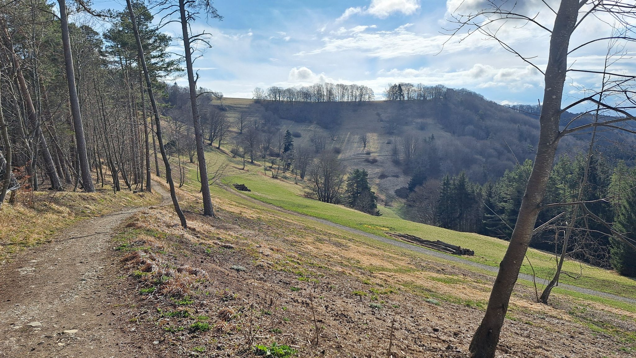 Irrenberg