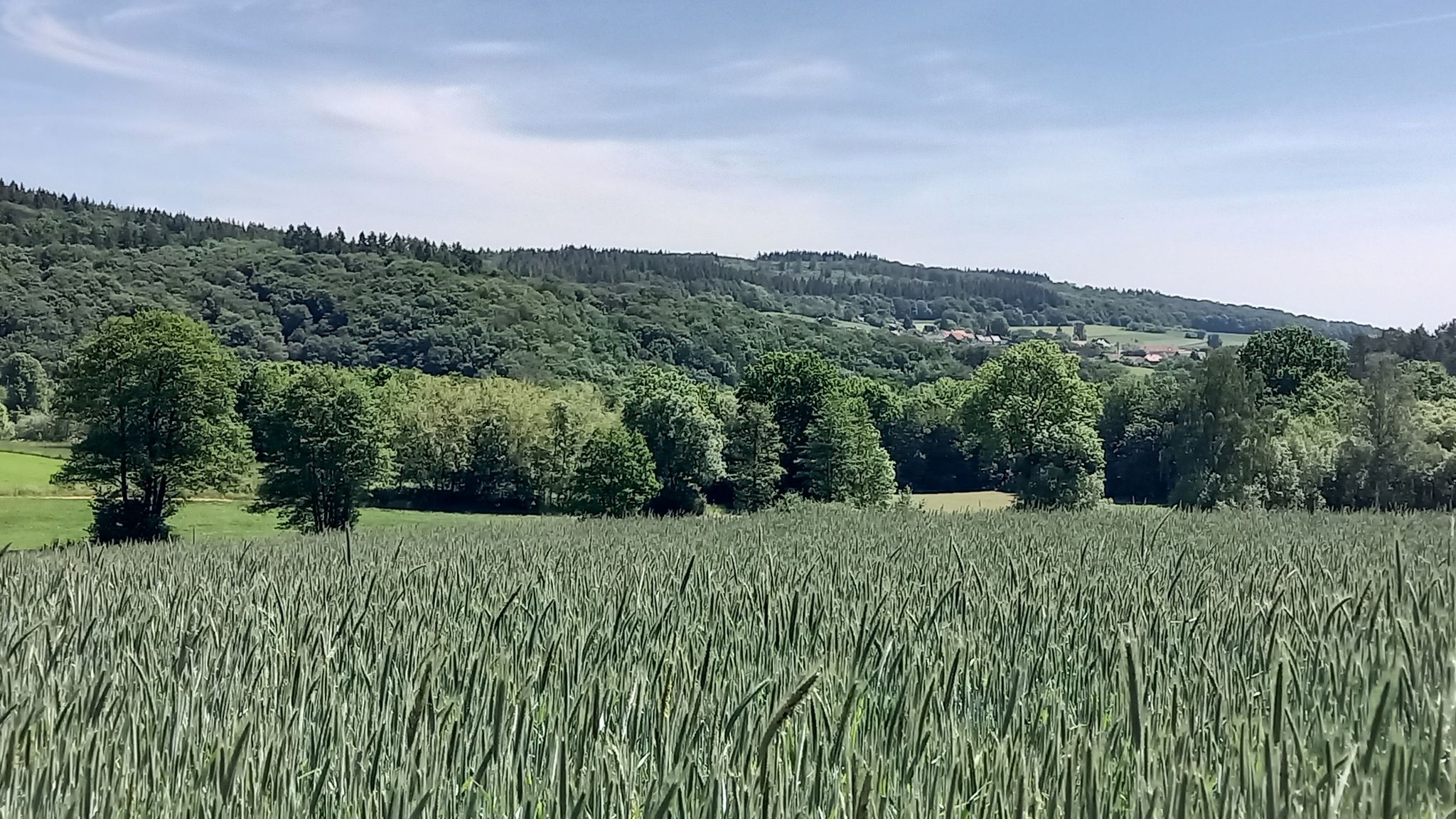 Blick nach Schönau