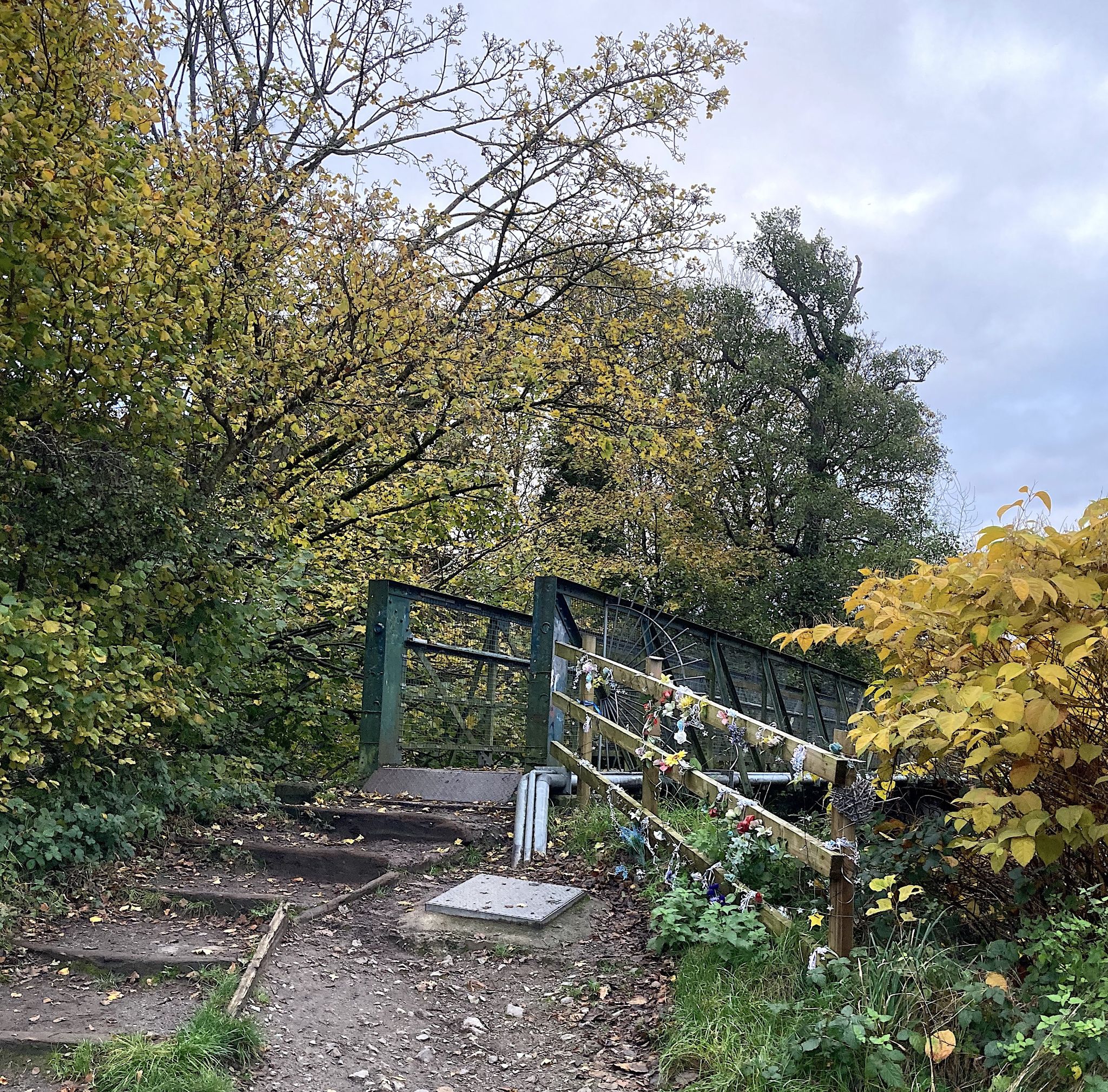 Fairy fence
