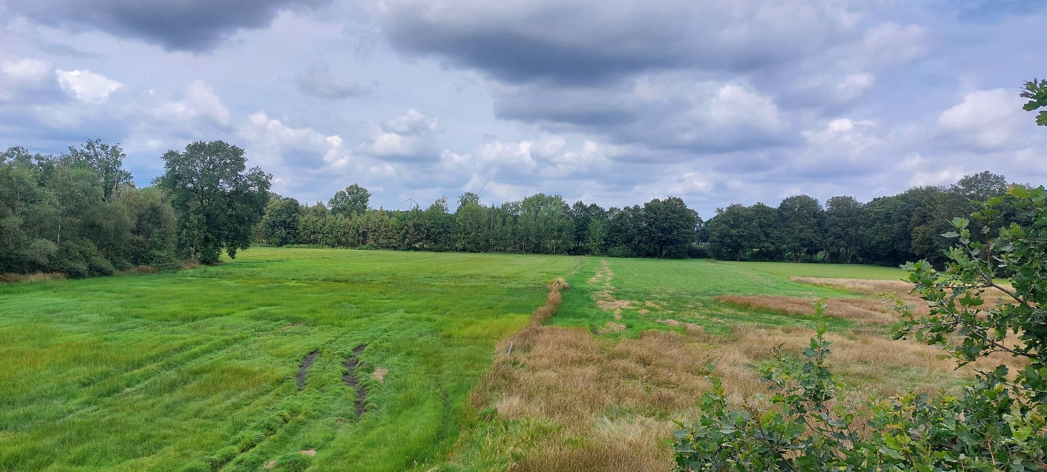 Blick vom Aussichtsturm