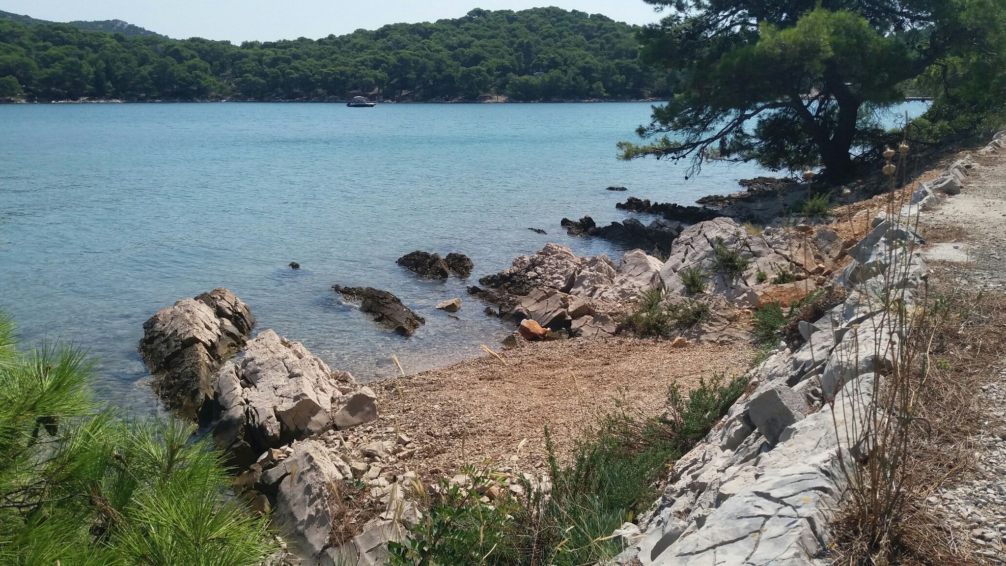 aa