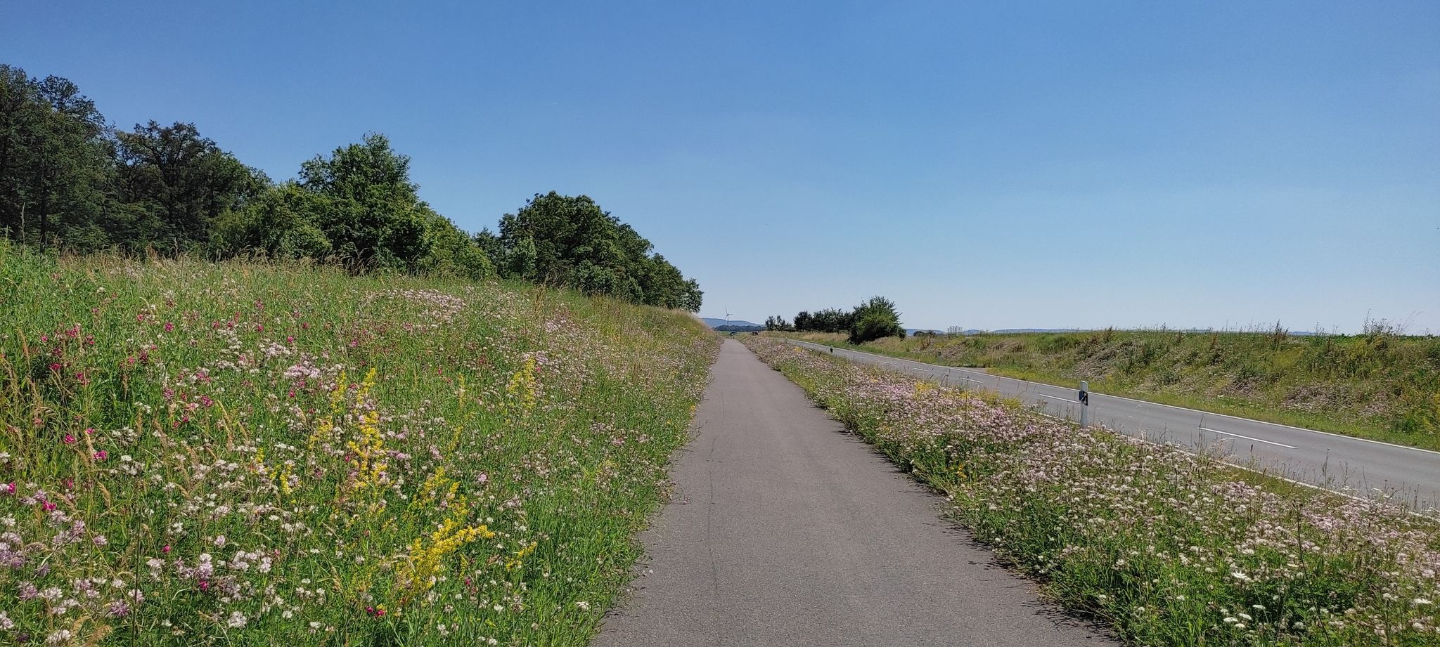 Radweg - zw. Schallfeld u. Gerolzhofen