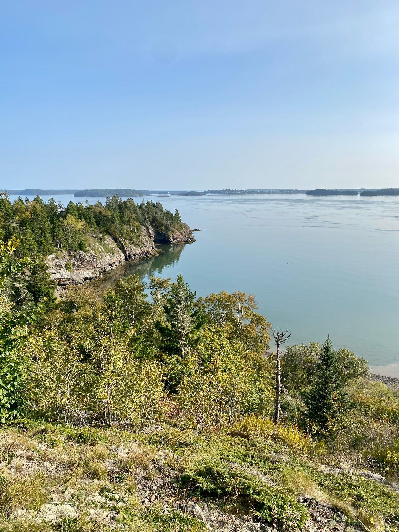 Panoramic view of a vast bay with forested islands under a clear sky. - Schooner Head, Ship Point, and Shackford Head Trail Loop