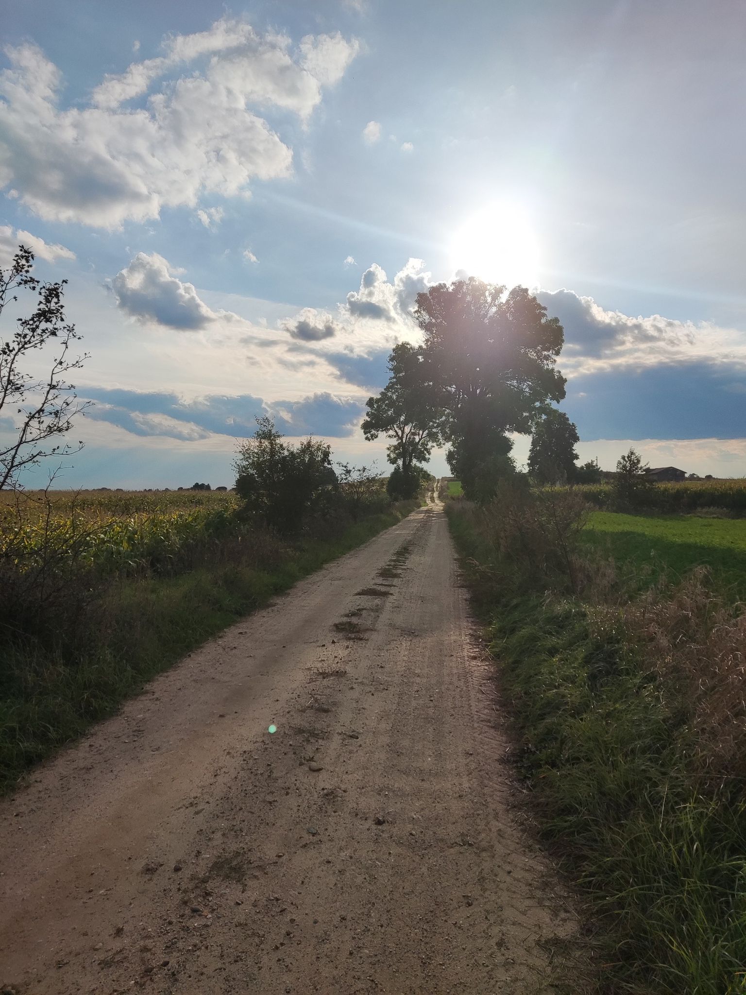 sun