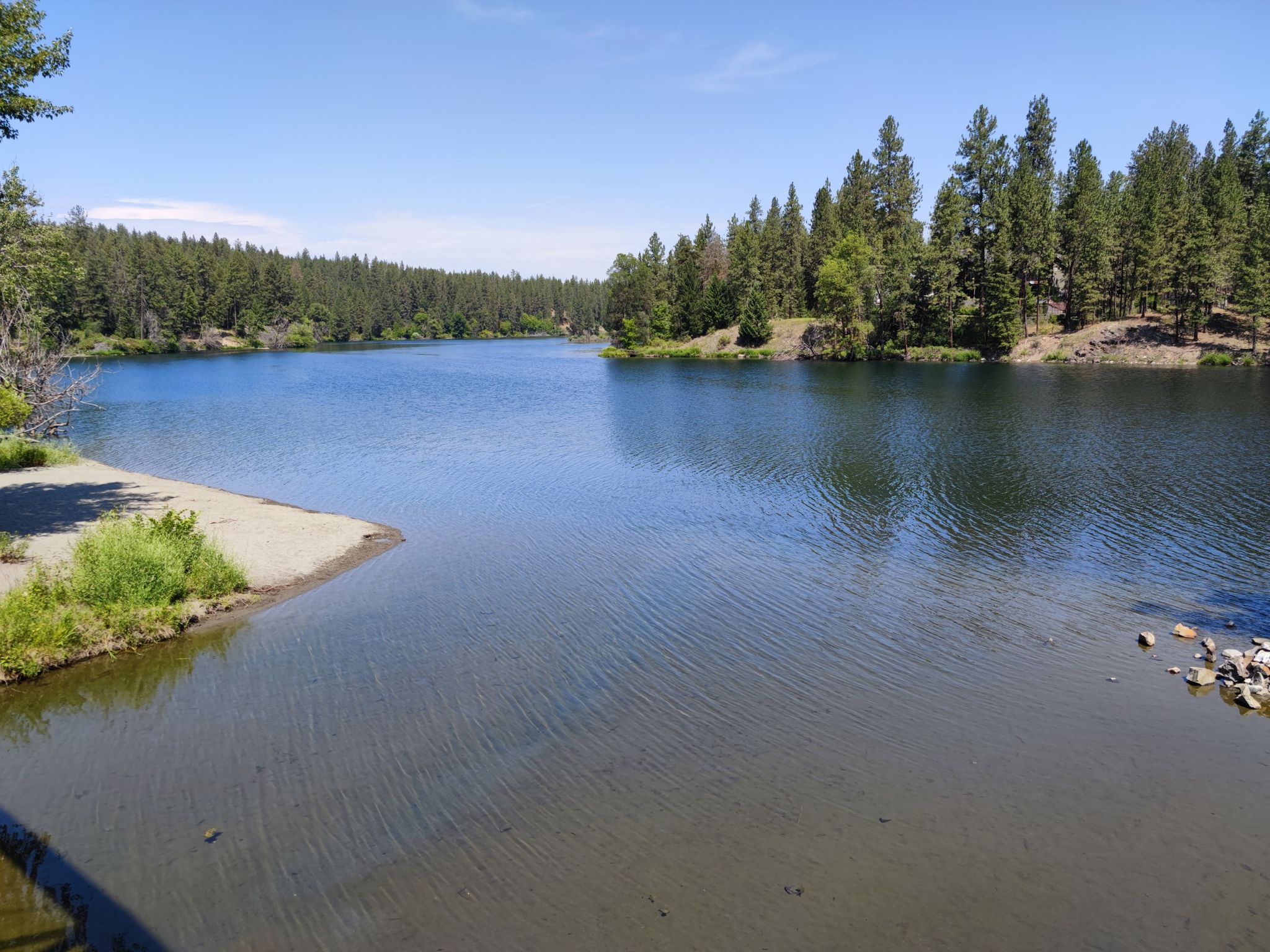 A calm lake surrounded by dense green forest under a bright blue sky. - Deep Creek Bridge – 9 Mile Recreation Area loop from Spokane Falls Community College