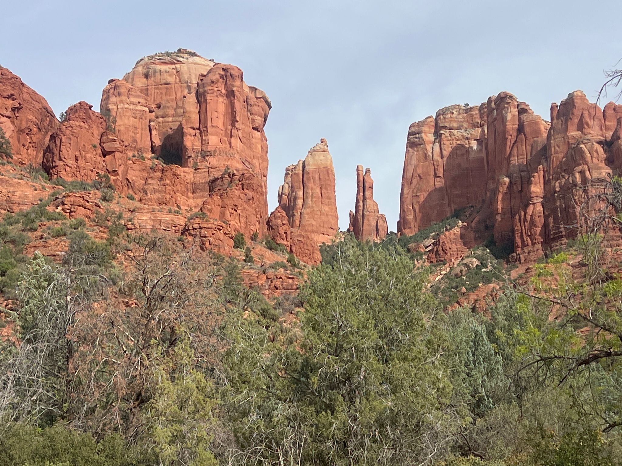 Towering red rock formations rise above green desert trees under a bright sky. - Baldwin Loop Trail