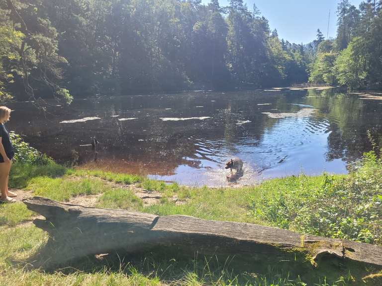 NRW Herrmannsdenkmal (Teutoburger Wald) hike Komoot