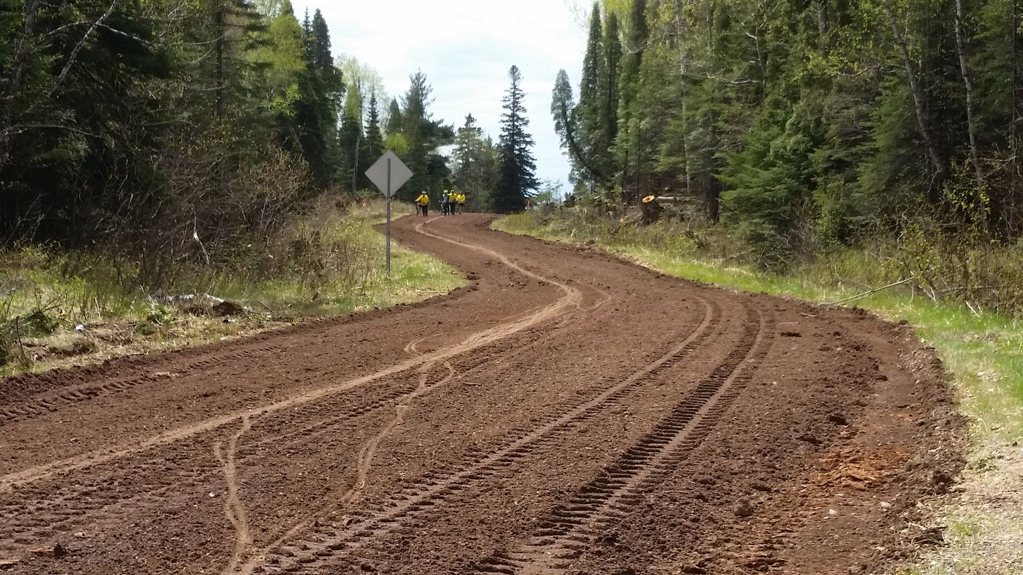 Winding dirt road with tire tracks through a dense forest on a cloudy day. - Gitchi-Gami State Trail loop