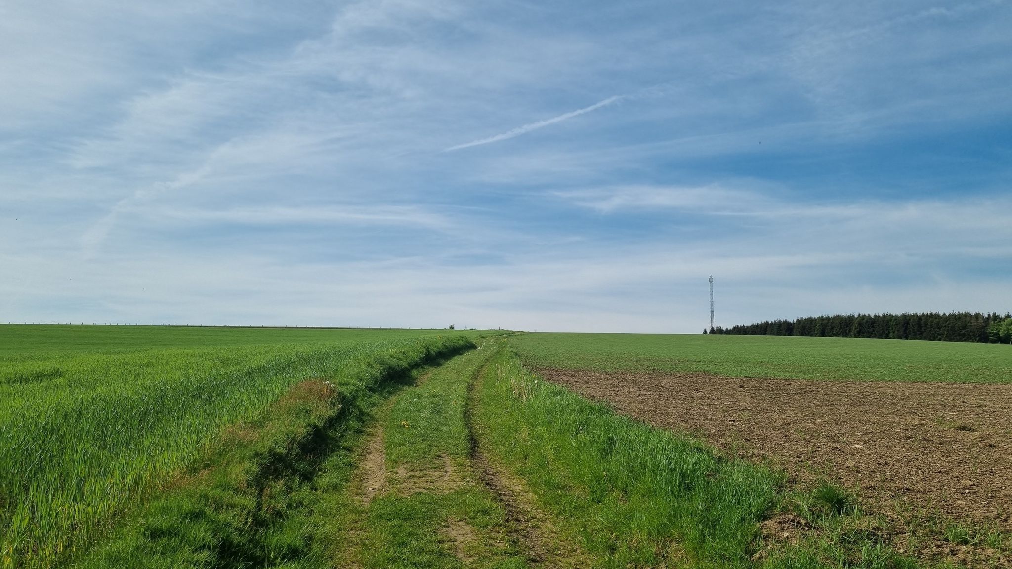Stijgend naar Ardens Plateau