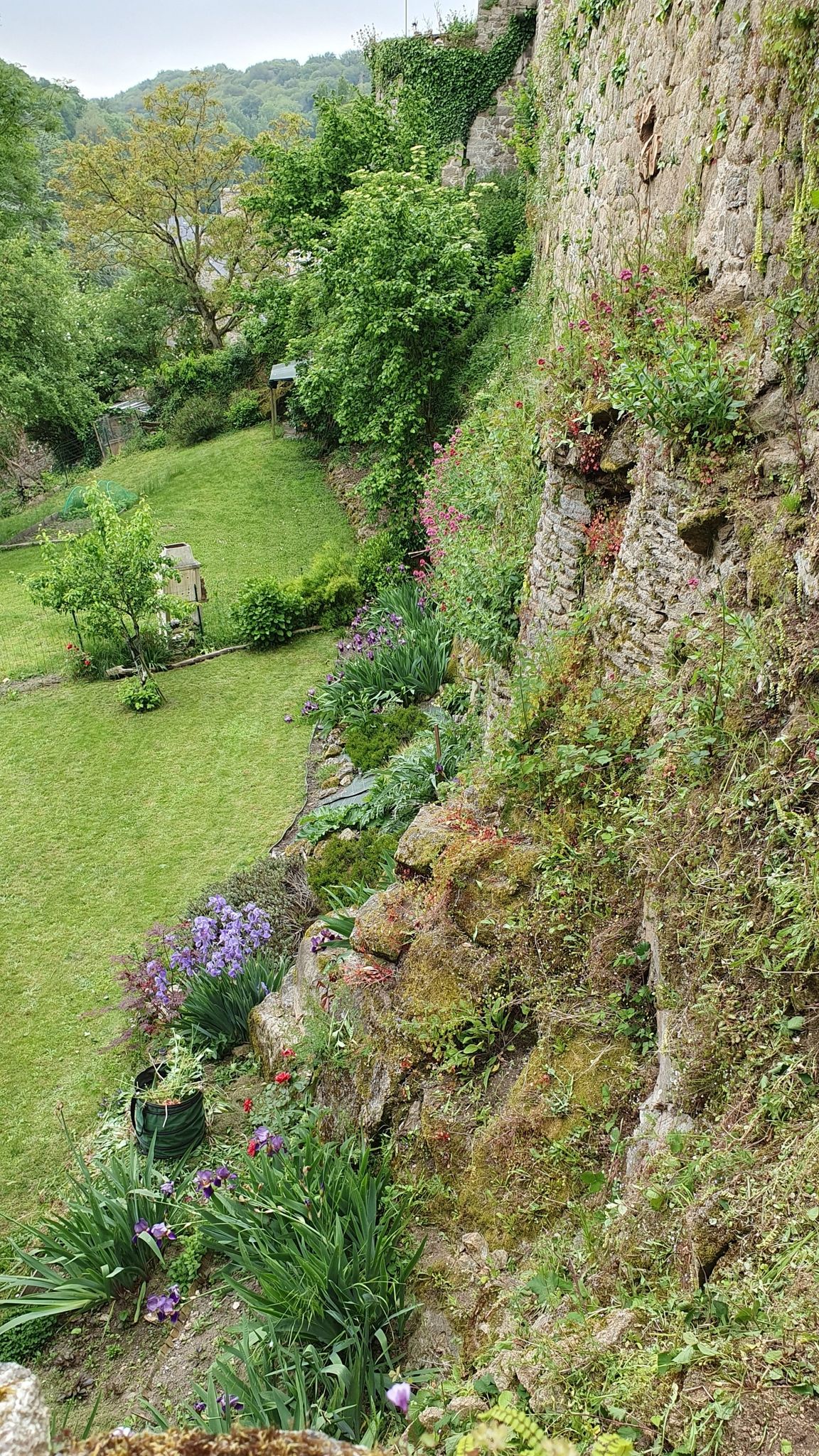 Traumgarten an der Stadtmauer