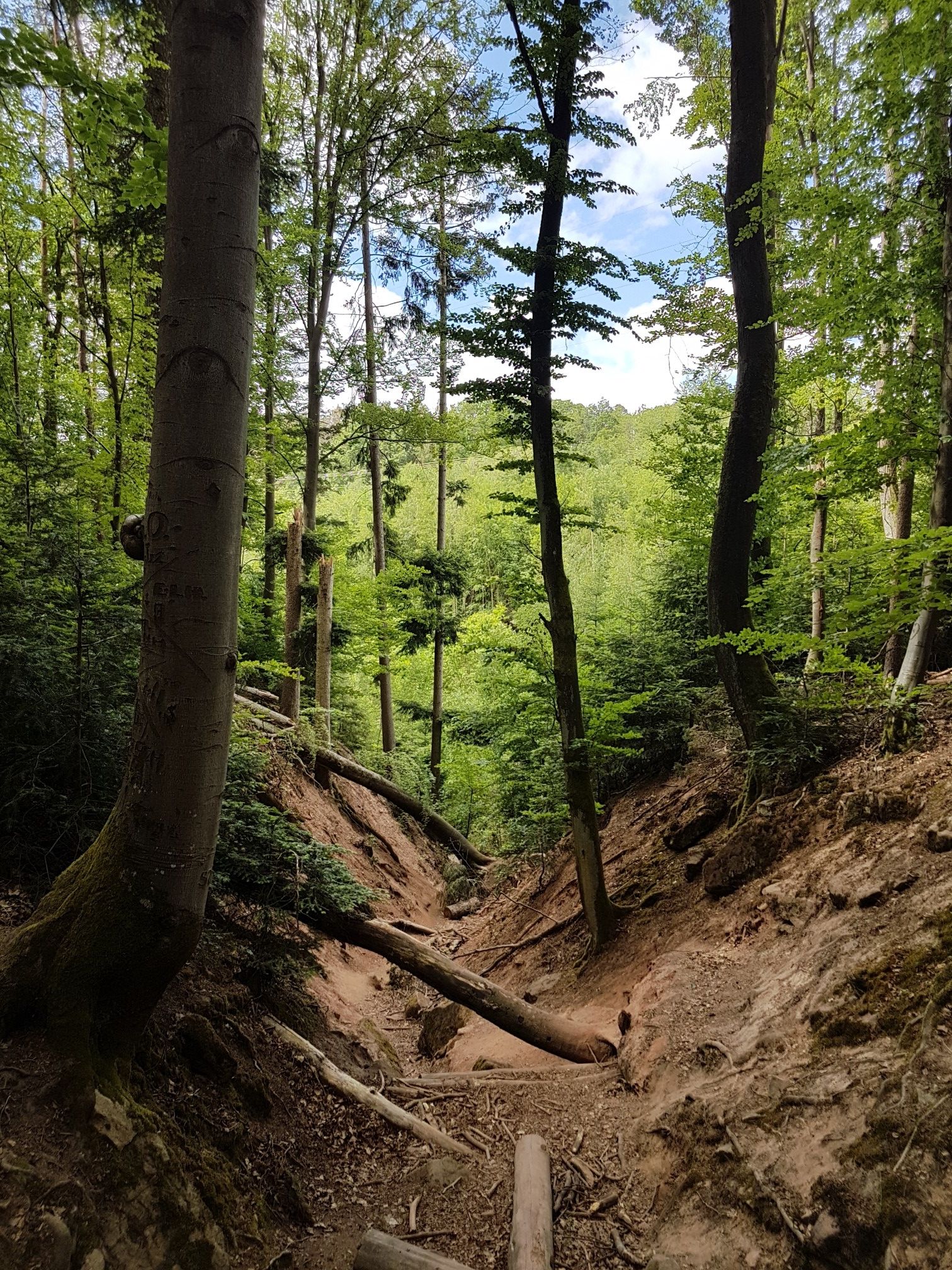 Massendorfer Schlucht