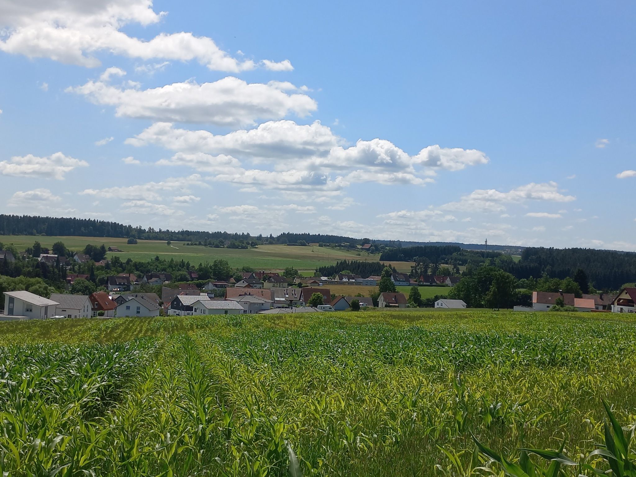 Fischbach